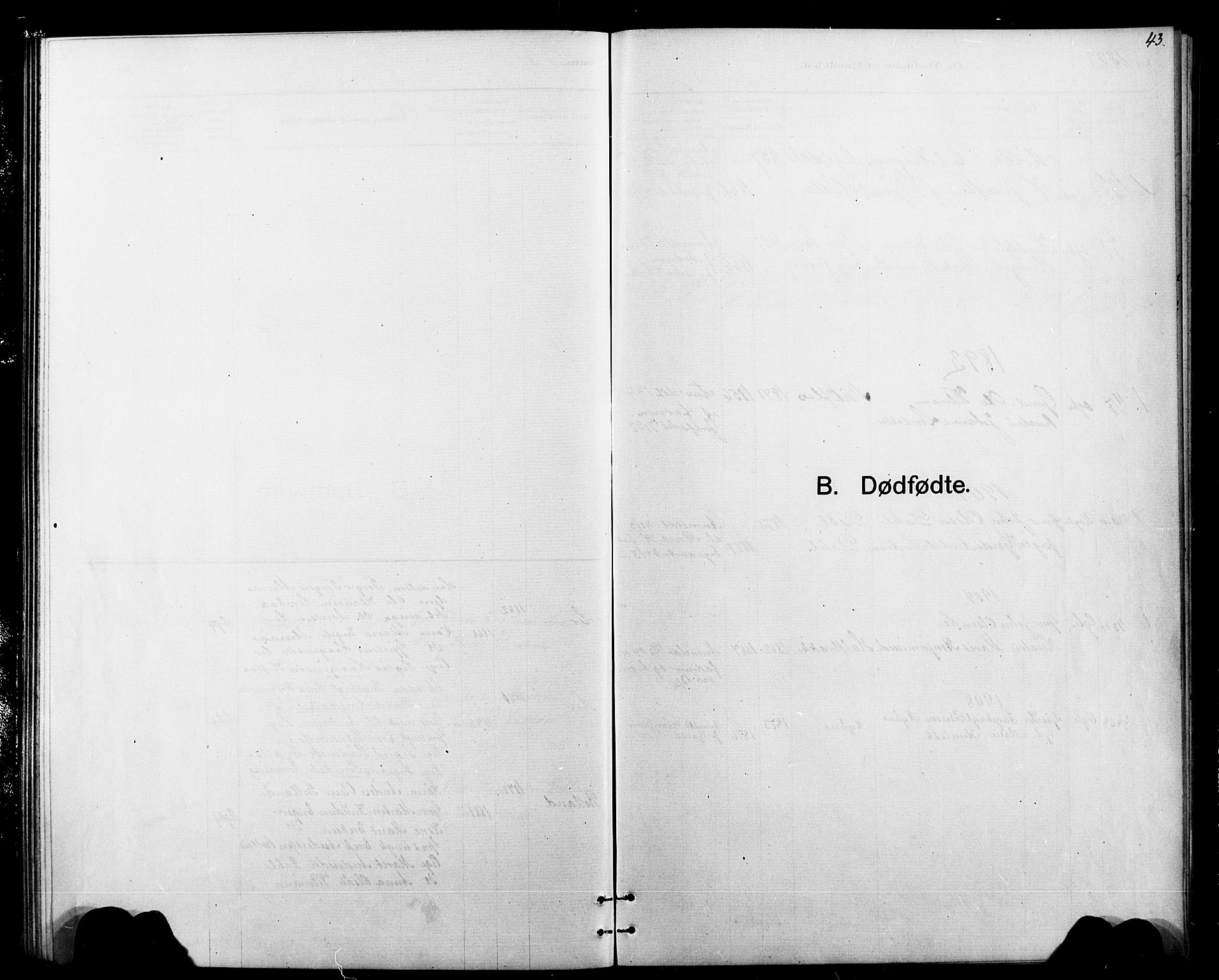 Ministerialprotokoller, klokkerbøker og fødselsregistre - Sør-Trøndelag, SAT/A-1456/693/L1123: Parish register (copy) no. 693C04, 1887-1910, p. 43
