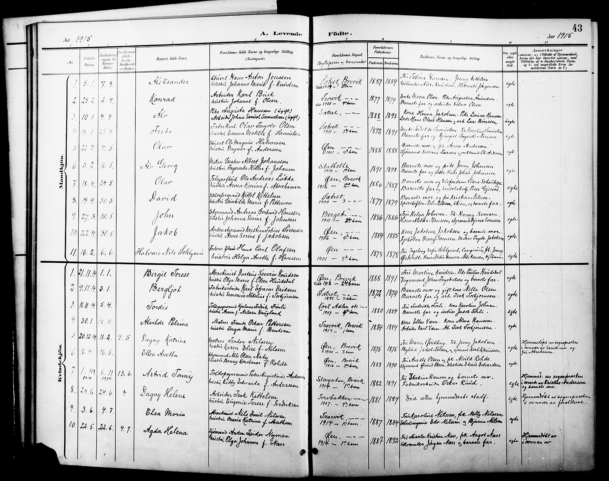 Brevik kirkebøker, SAKO/A-255/G/Ga/L0005: Parish register (copy) no. 5, 1901-1924, p. 43