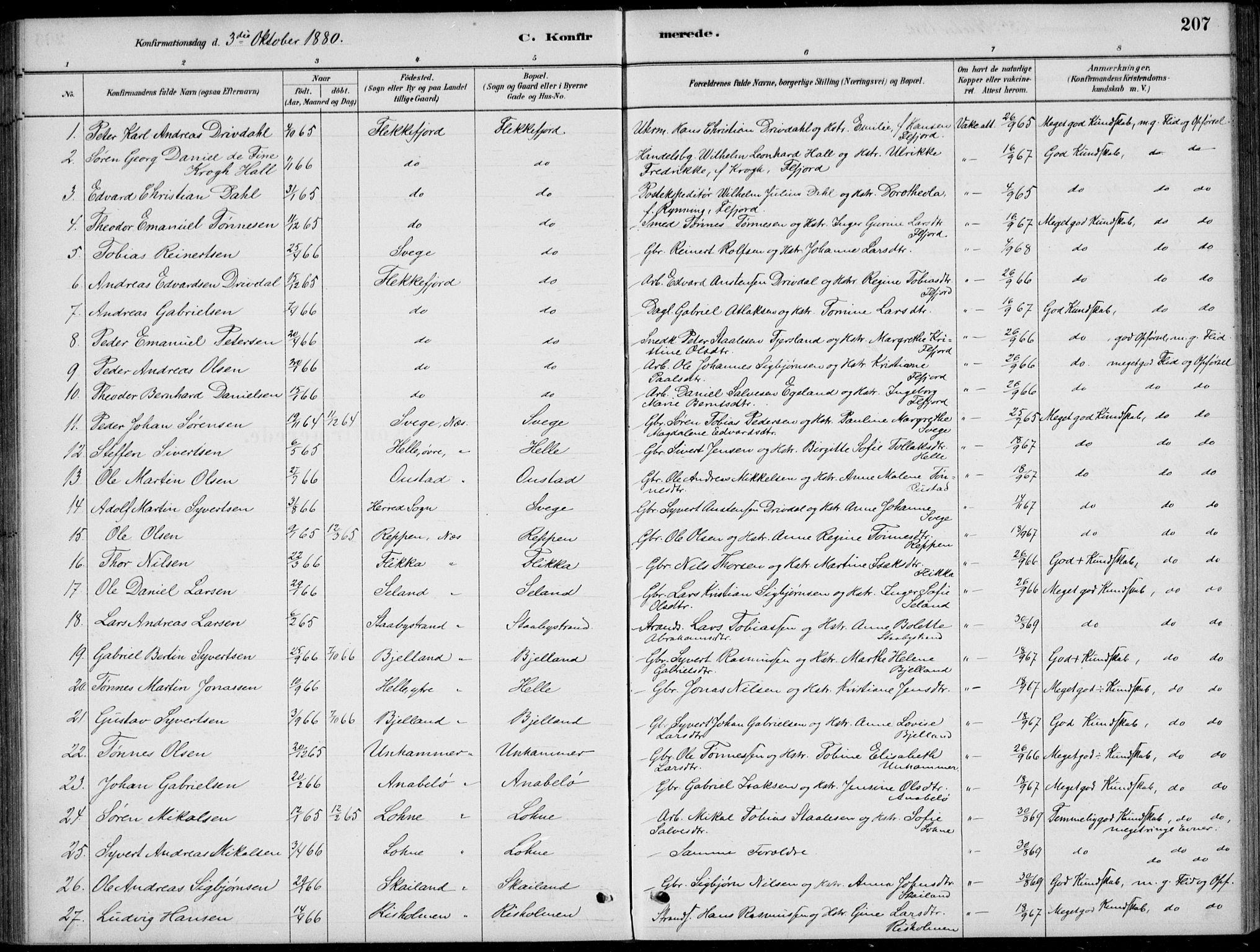 Flekkefjord sokneprestkontor, AV/SAK-1111-0012/F/Fb/Fbc/L0007: Parish register (copy) no. B 7, 1880-1902, p. 207