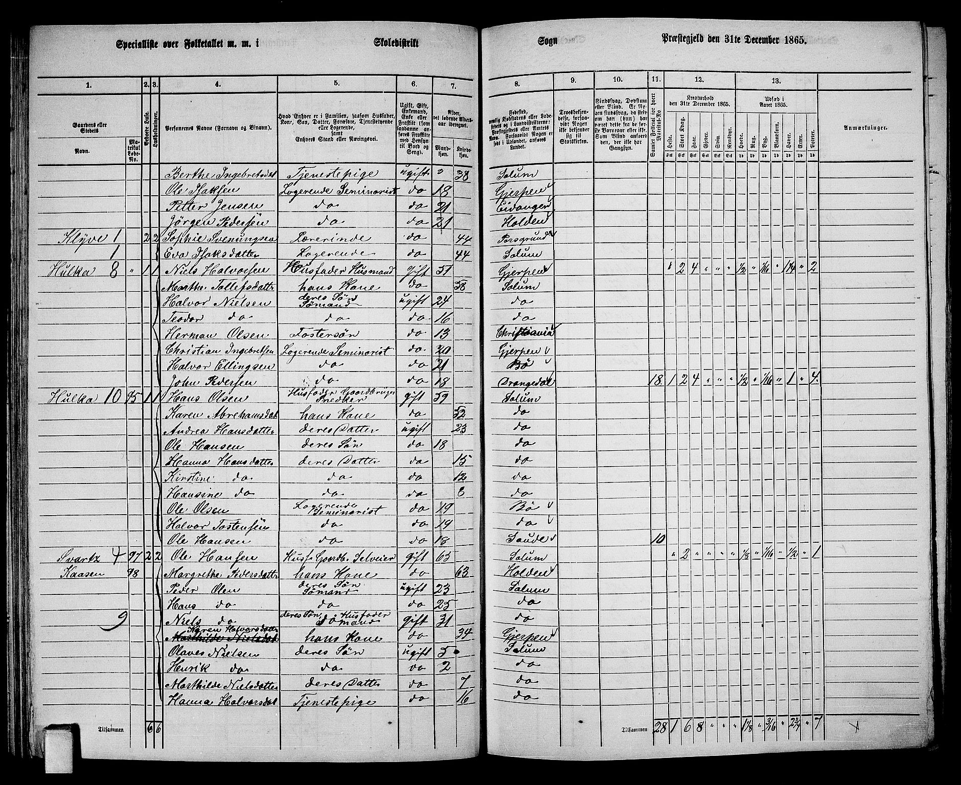 RA, 1865 census for Solum, 1865, p. 100