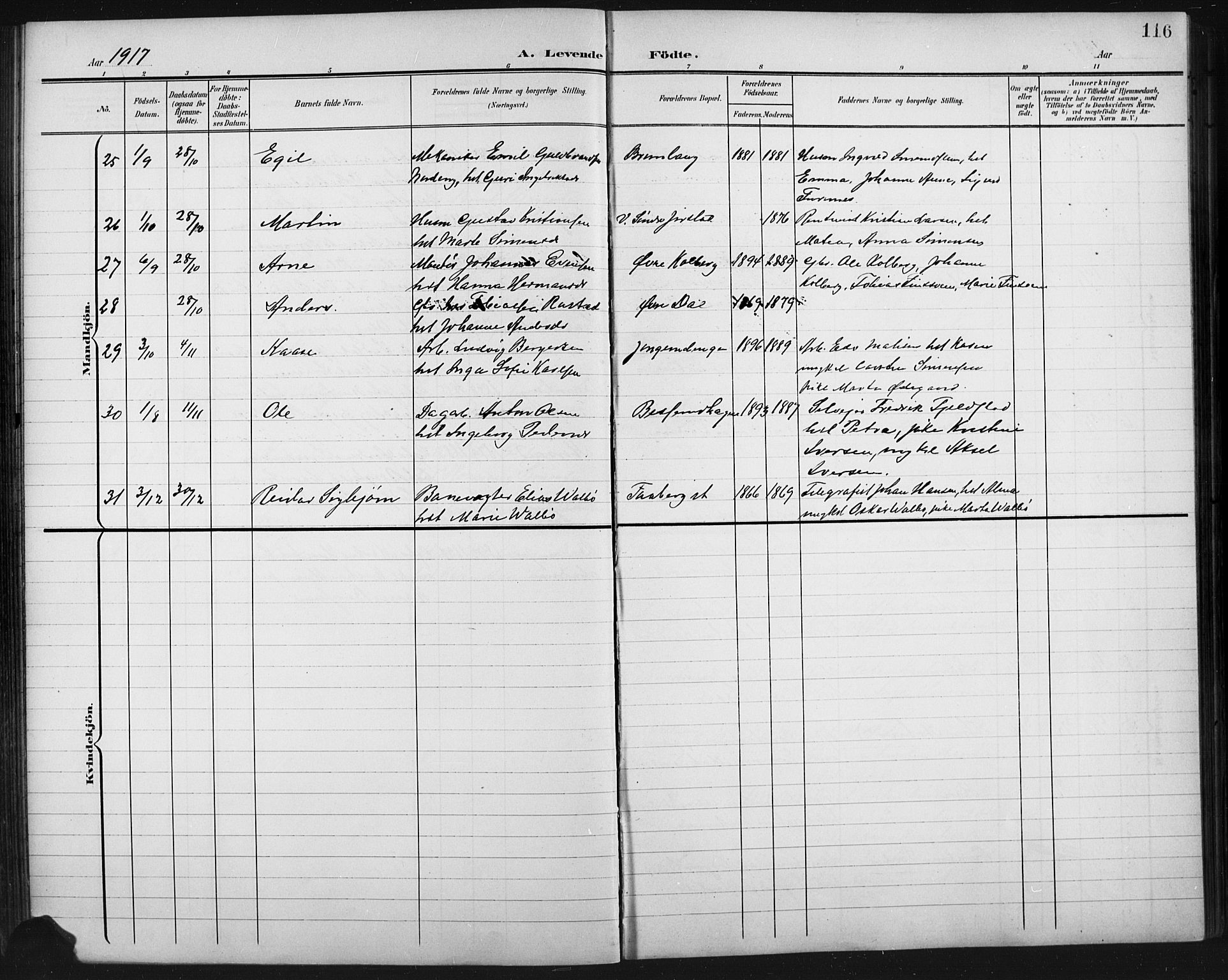 Fåberg prestekontor, AV/SAH-PREST-086/H/Ha/Hab/L0011: Parish register (copy) no. 11, 1901-1921, p. 116