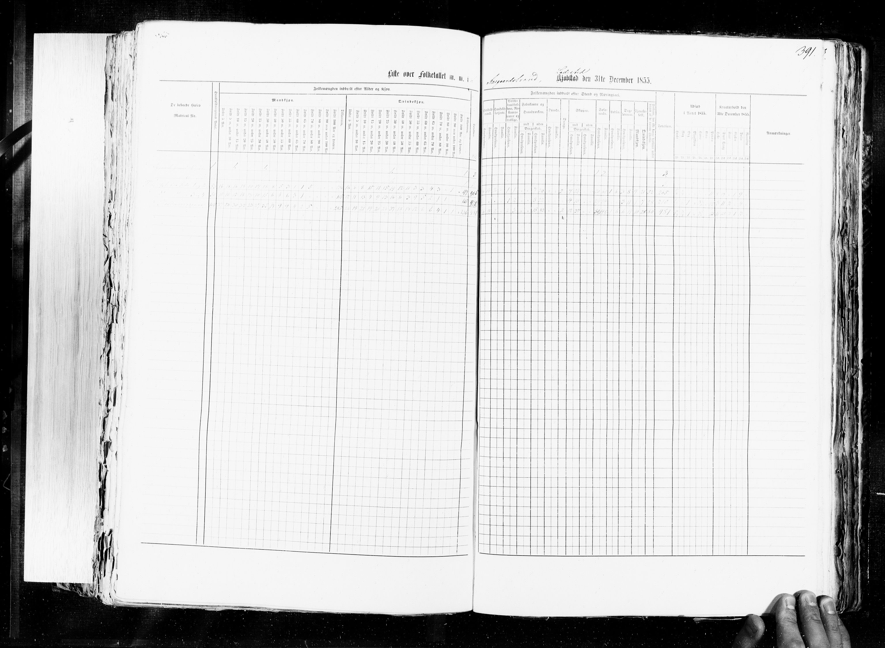 RA, Census 1855, vol. 7: Fredrikshald-Kragerø, 1855, p. 391