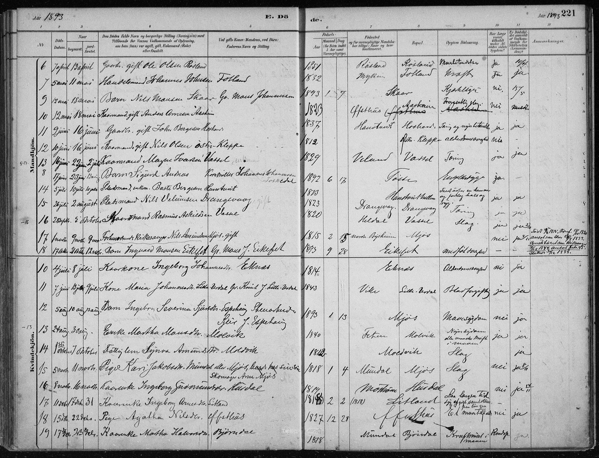 Hosanger sokneprestembete, SAB/A-75801/H/Haa: Parish register (official) no. B  1, 1880-1896, p. 221