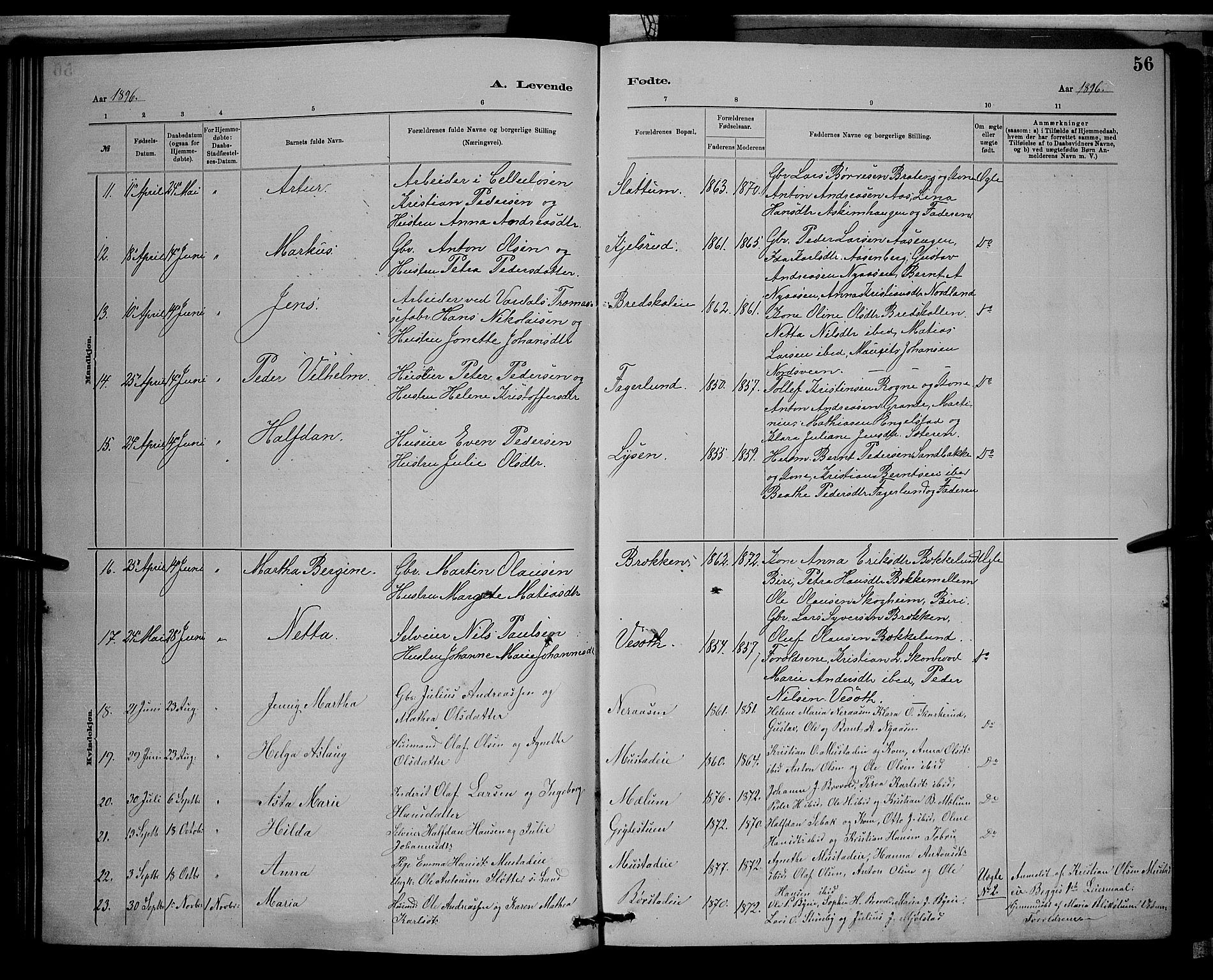 Vardal prestekontor, SAH/PREST-100/H/Ha/Hab/L0008: Parish register (copy) no. 8, 1881-1898, p. 56