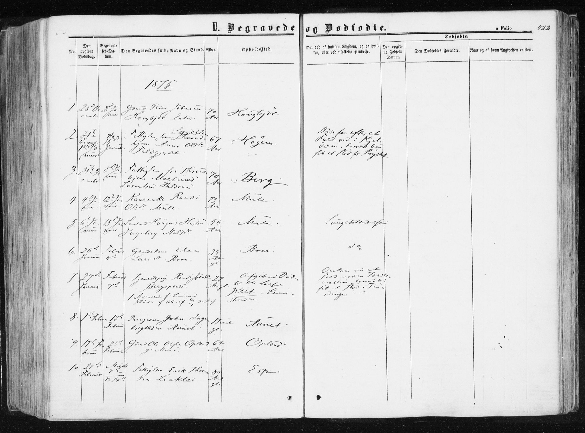 Ministerialprotokoller, klokkerbøker og fødselsregistre - Sør-Trøndelag, SAT/A-1456/612/L0377: Parish register (official) no. 612A09, 1859-1877, p. 422