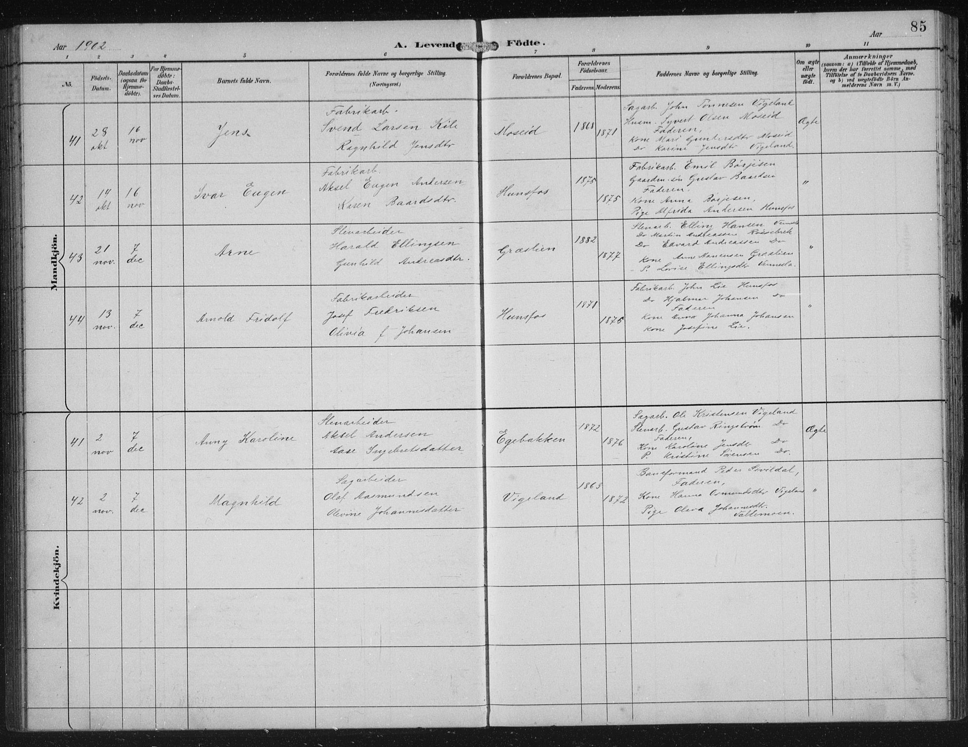 Vennesla sokneprestkontor, AV/SAK-1111-0045/Fb/Fbb/L0004: Parish register (copy) no. B 4, 1893-1902, p. 85