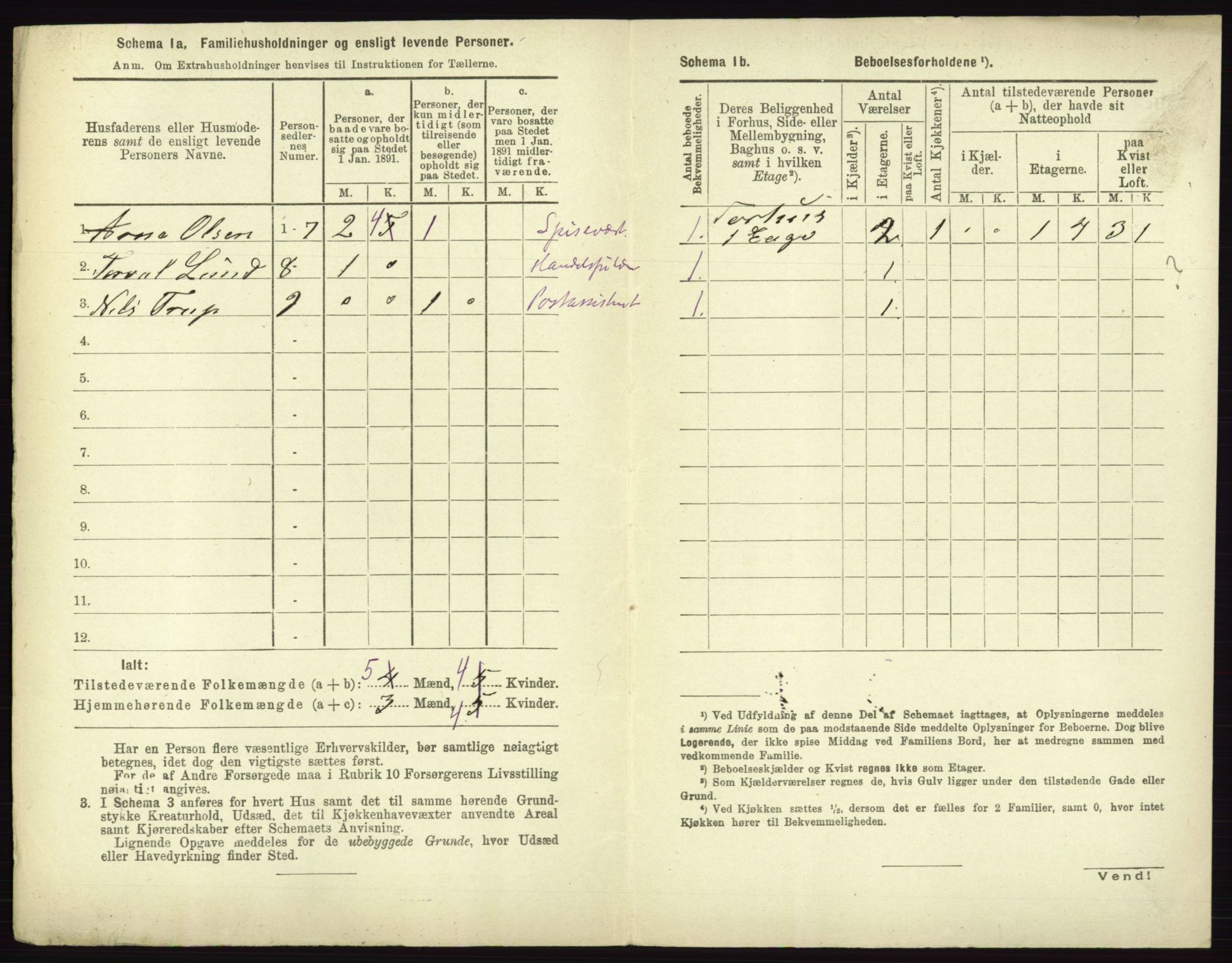 RA, 1891 census for 0101 Fredrikshald, 1891, p. 989