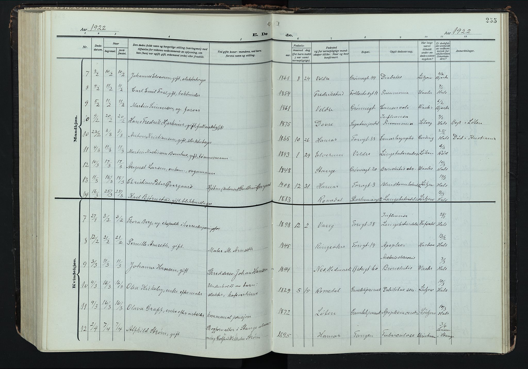 Hamar prestekontor, AV/SAH-DOMPH-002/H/Ha/Hab/L0004: Parish register (copy) no. 4, 1915-1942, p. 255