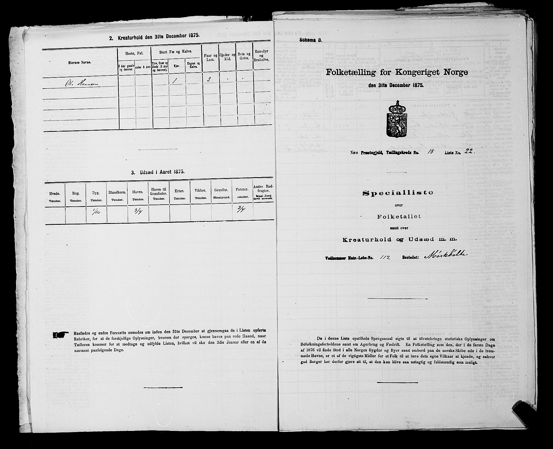 RA, 1875 census for 0236P Nes, 1875, p. 2701