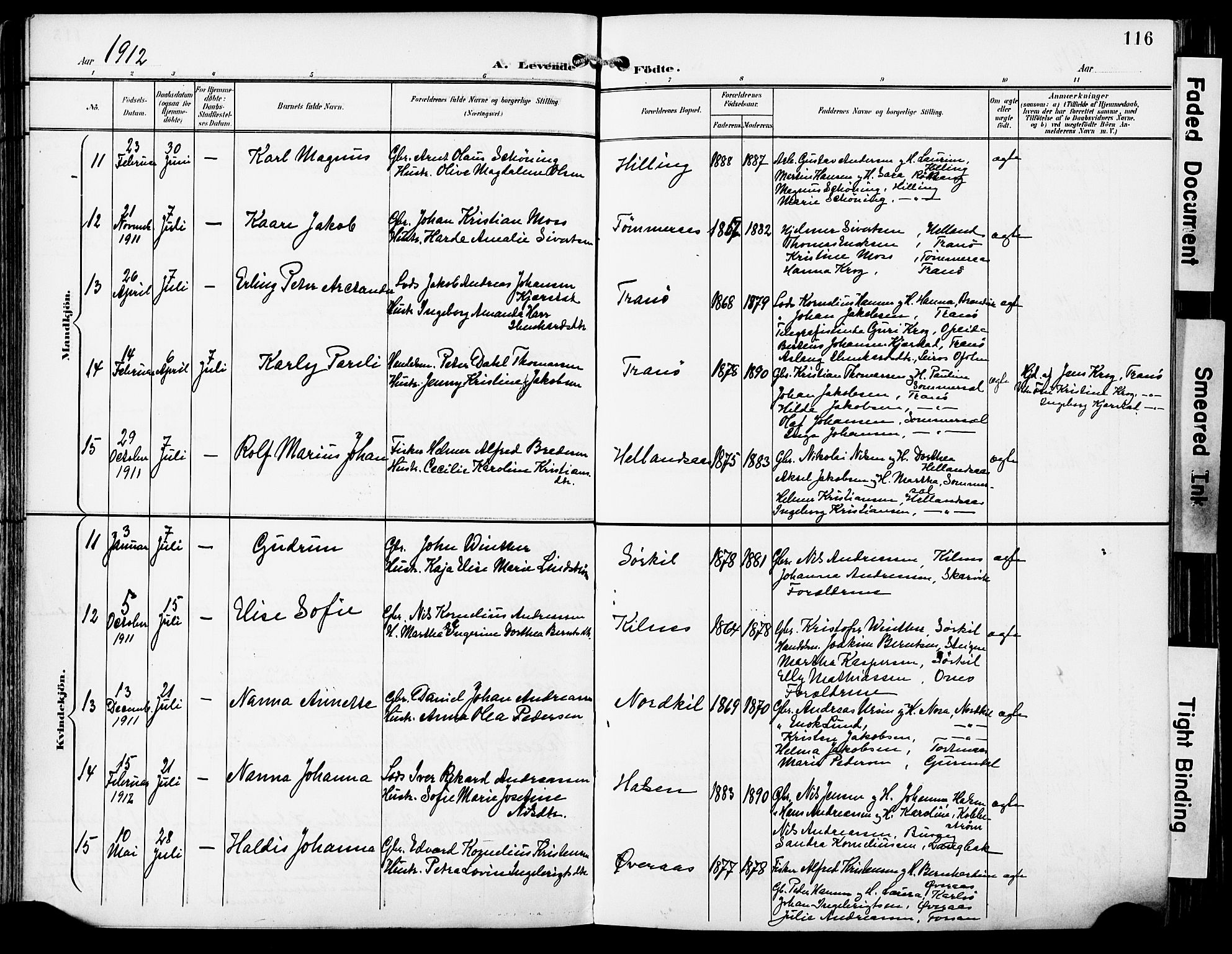 Ministerialprotokoller, klokkerbøker og fødselsregistre - Nordland, AV/SAT-A-1459/859/L0848: Parish register (official) no. 859A08, 1900-1912, p. 116