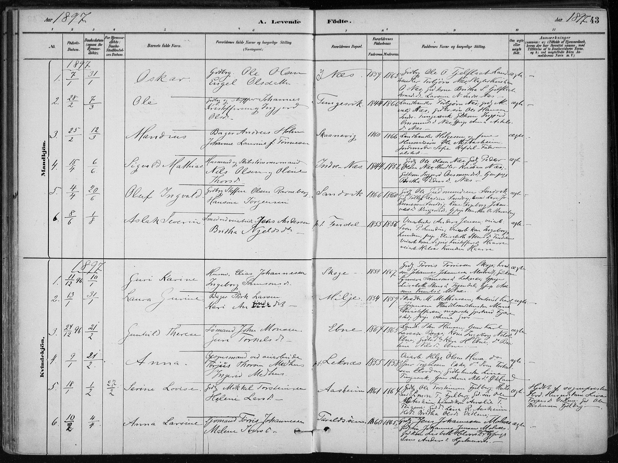 Skånevik sokneprestembete, SAB/A-77801/H/Haa: Parish register (official) no. B 1, 1879-1914, p. 43