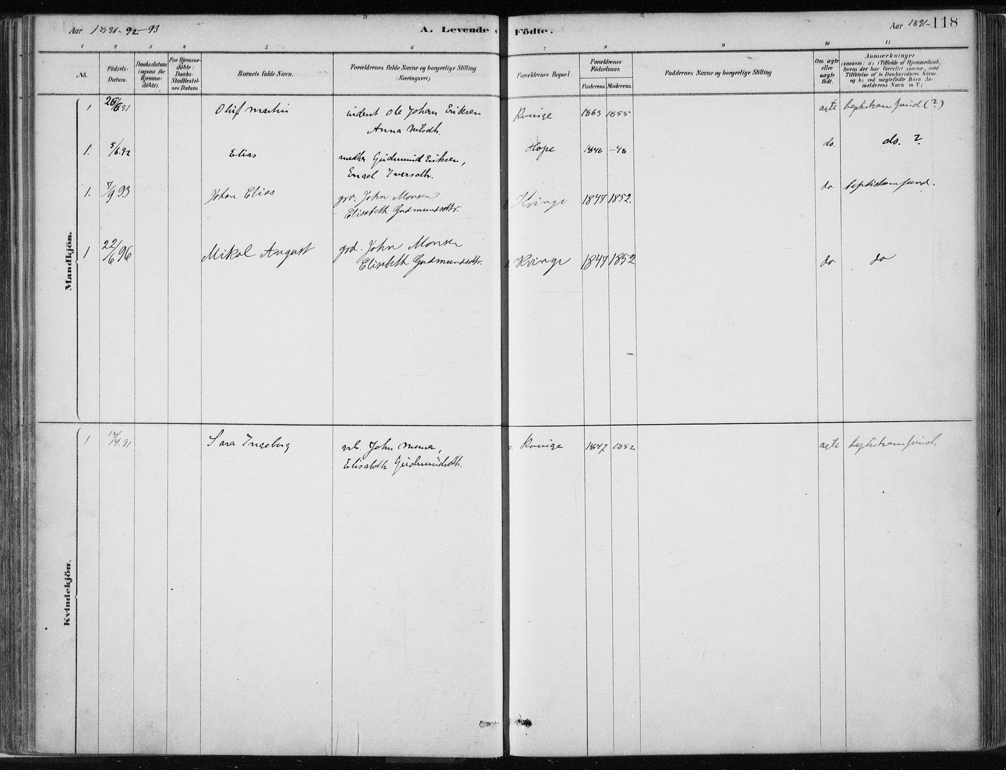 Masfjorden Sokneprestembete, SAB/A-77001: Parish register (official) no. B  1, 1876-1899, p. 118