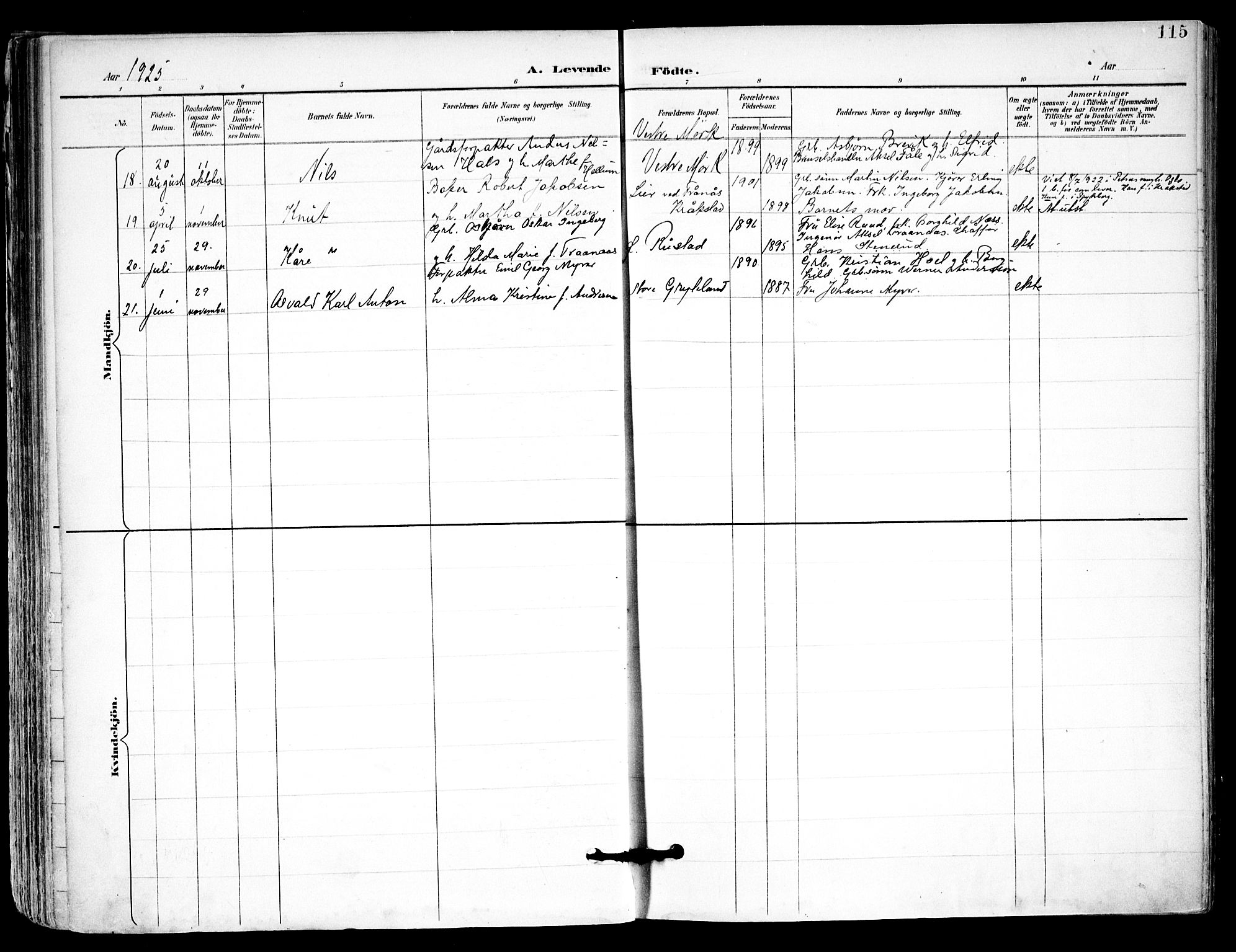 Kråkstad prestekontor Kirkebøker, AV/SAO-A-10125a/F/Fa/L0010: Parish register (official) no. I 10, 1893-1931, p. 115