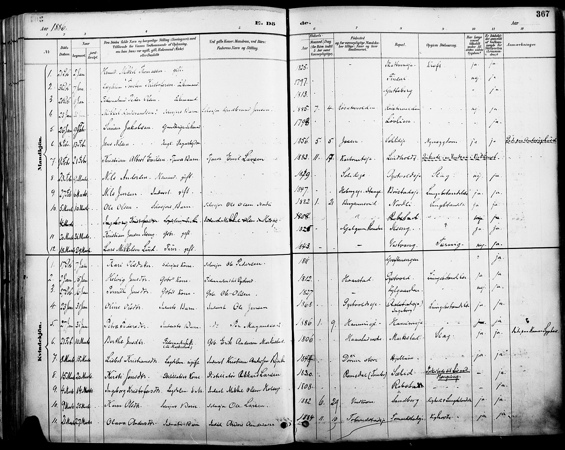 Vang prestekontor, Hedmark, SAH/PREST-008/H/Ha/Haa/L0019A: Parish register (official) no. 19, 1886-1900, p. 367