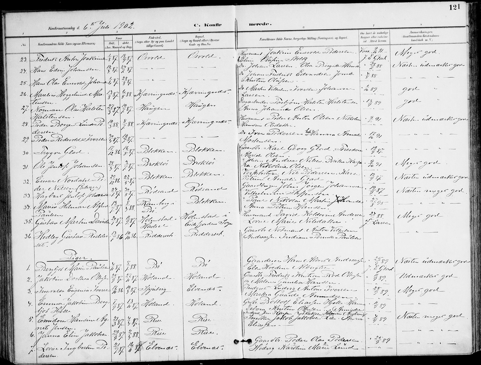 Ministerialprotokoller, klokkerbøker og fødselsregistre - Nordland, AV/SAT-A-1459/895/L1372: Parish register (official) no. 895A07, 1894-1914, p. 121