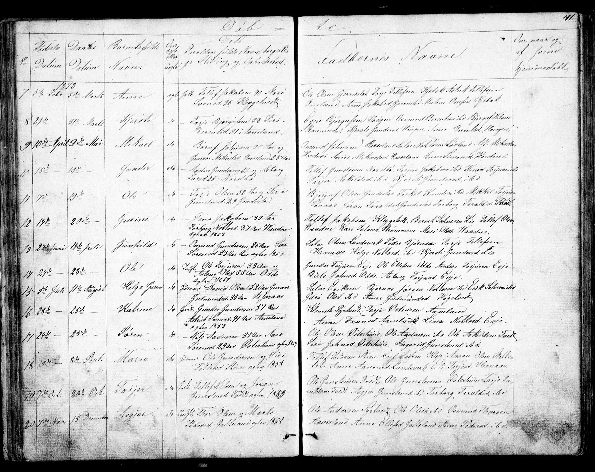 Evje sokneprestkontor, AV/SAK-1111-0008/F/Fb/Fba/L0002: Parish register (copy) no. B 2, 1849-1896, p. 41