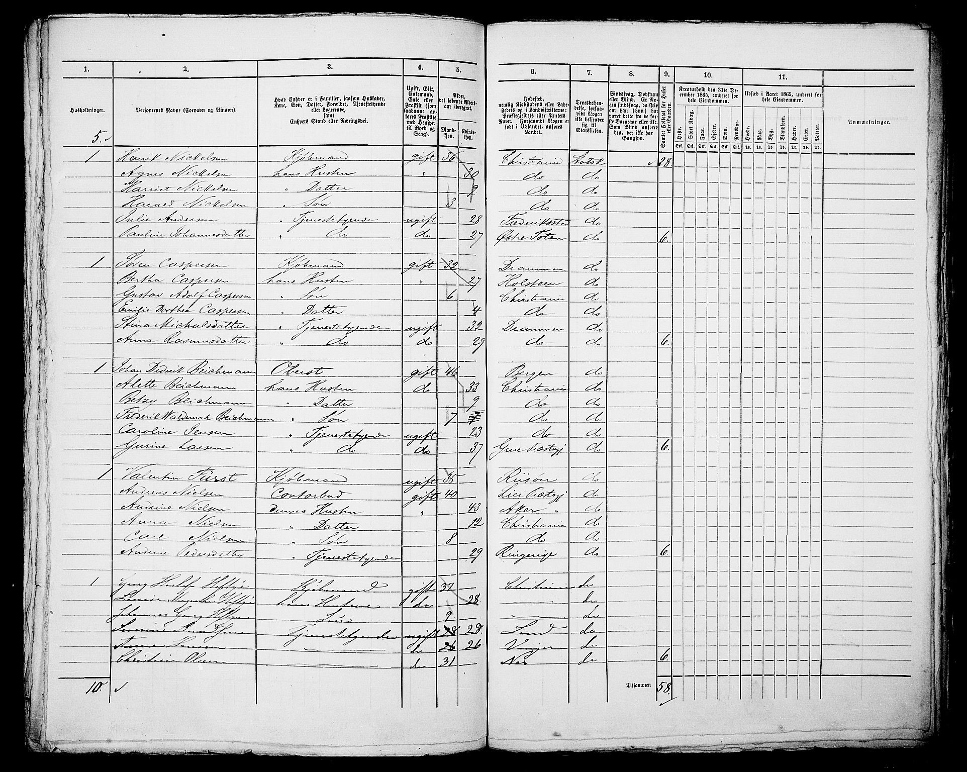 RA, 1865 census for Kristiania, 1865, p. 529