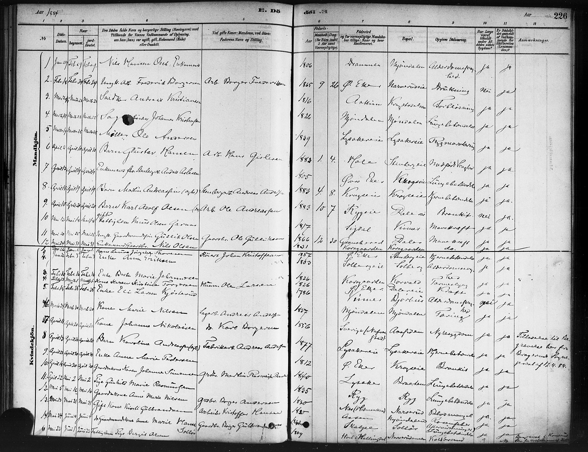 Nedre Eiker kirkebøker, AV/SAKO-A-612/F/Fa/L0002: Parish register (official) no. 2, 1878-1885, p. 226