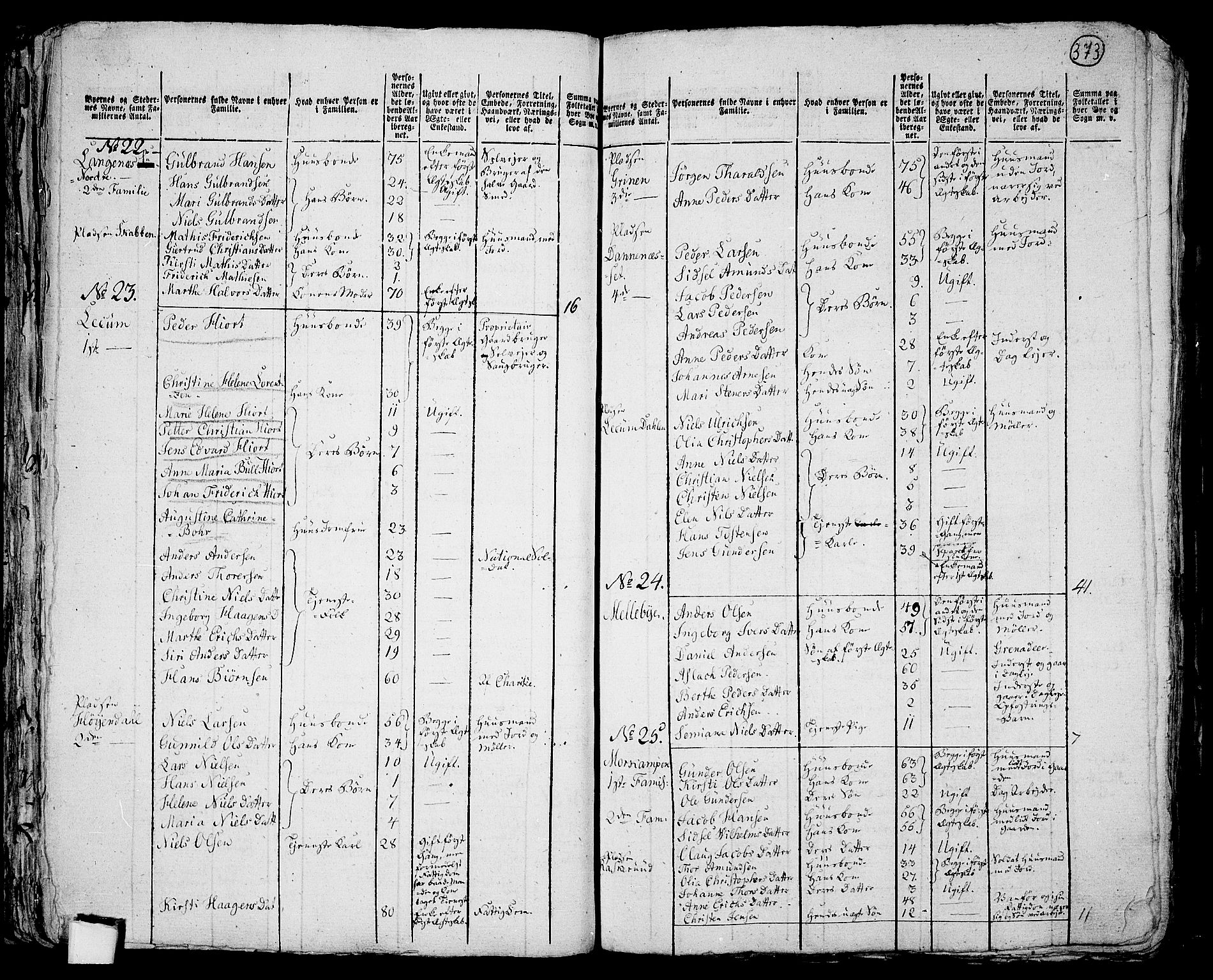 RA, 1801 census for 0125P Eidsberg, 1801, p. 372b-373a