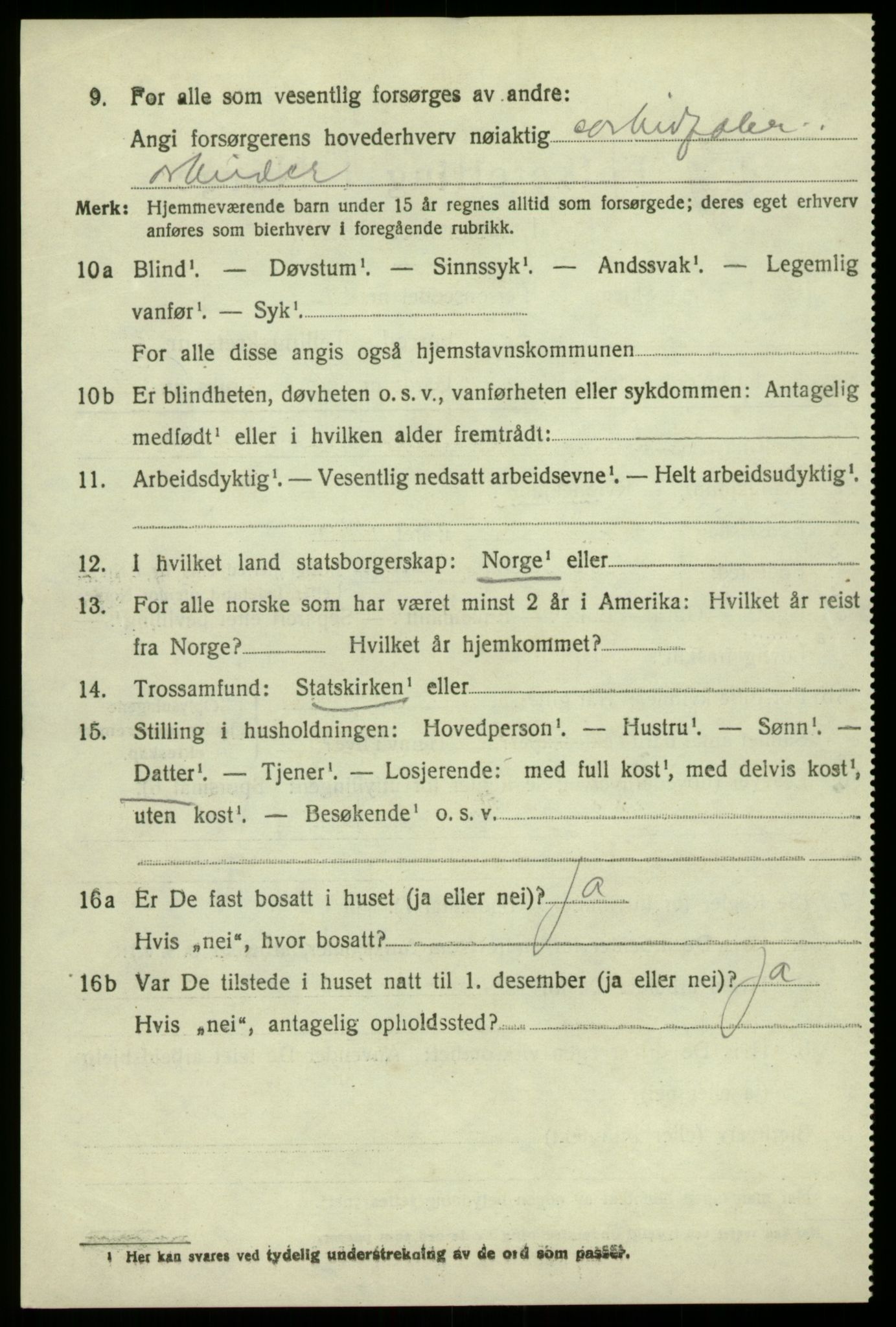 SAB, 1920 census for Odda, 1920, p. 10784