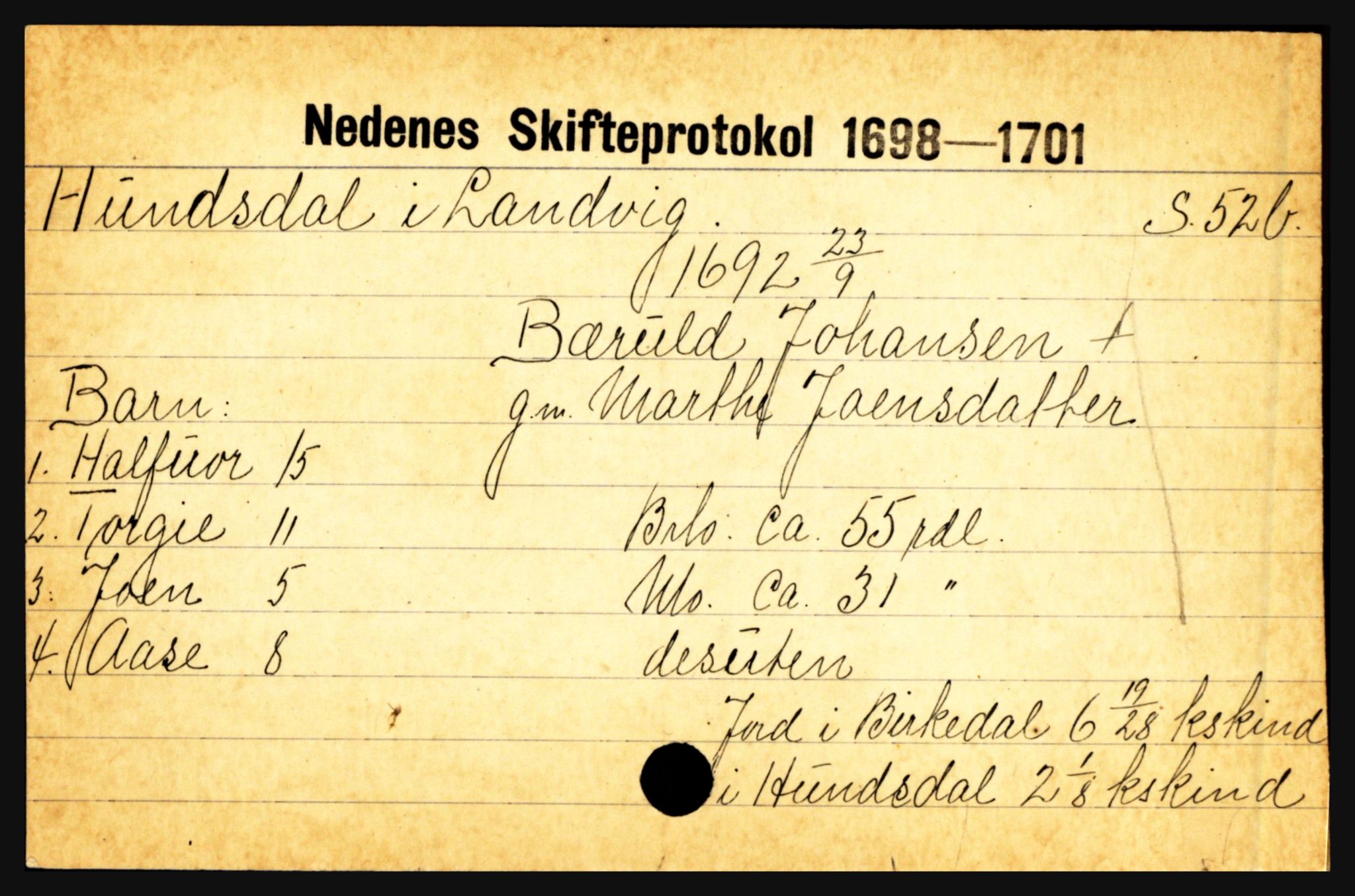 Nedenes sorenskriveri før 1824, AV/SAK-1221-0007/H, p. 13291