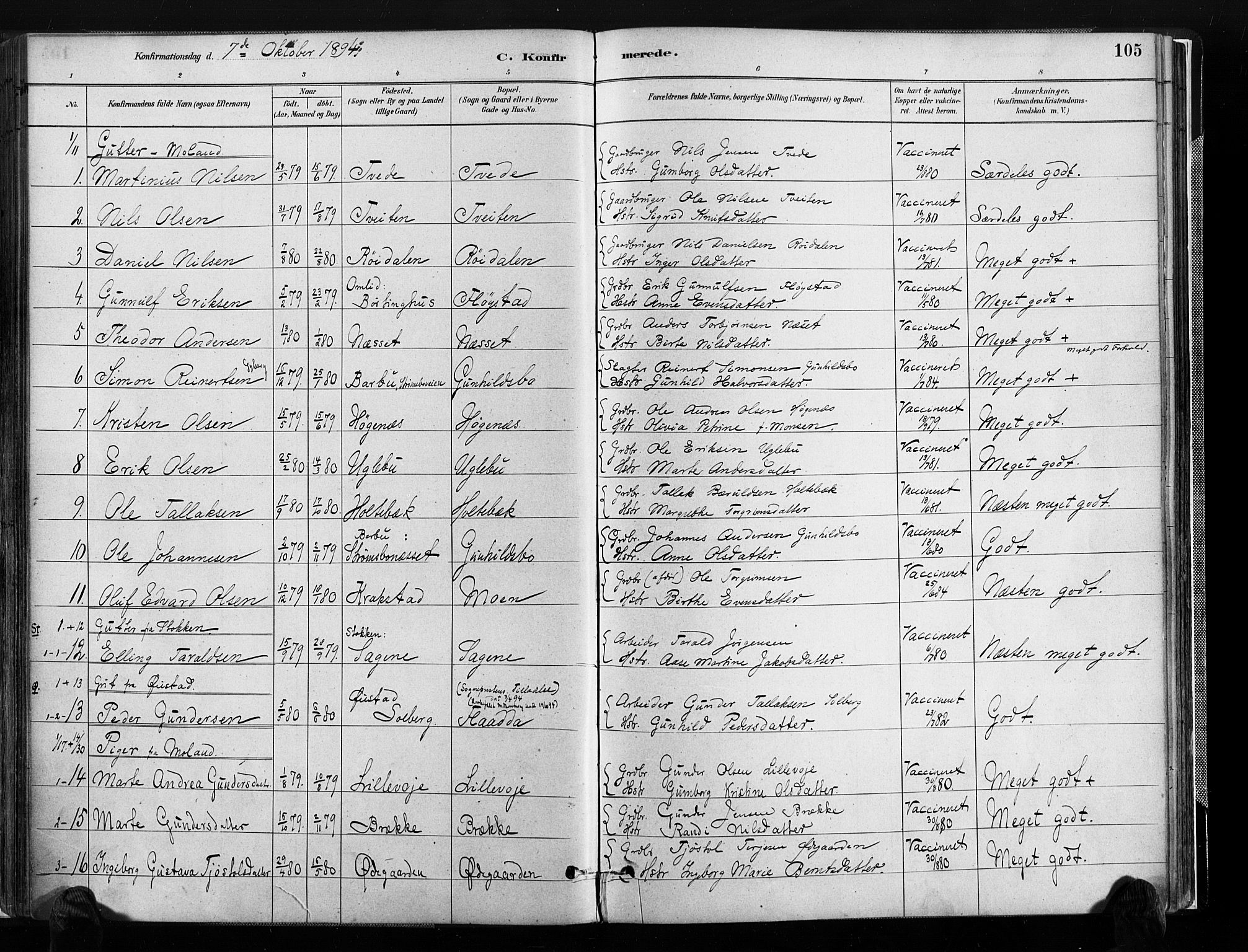 Austre Moland sokneprestkontor, AV/SAK-1111-0001/F/Fa/Faa/L0010: Parish register (official) no. A 10, 1880-1904, p. 105