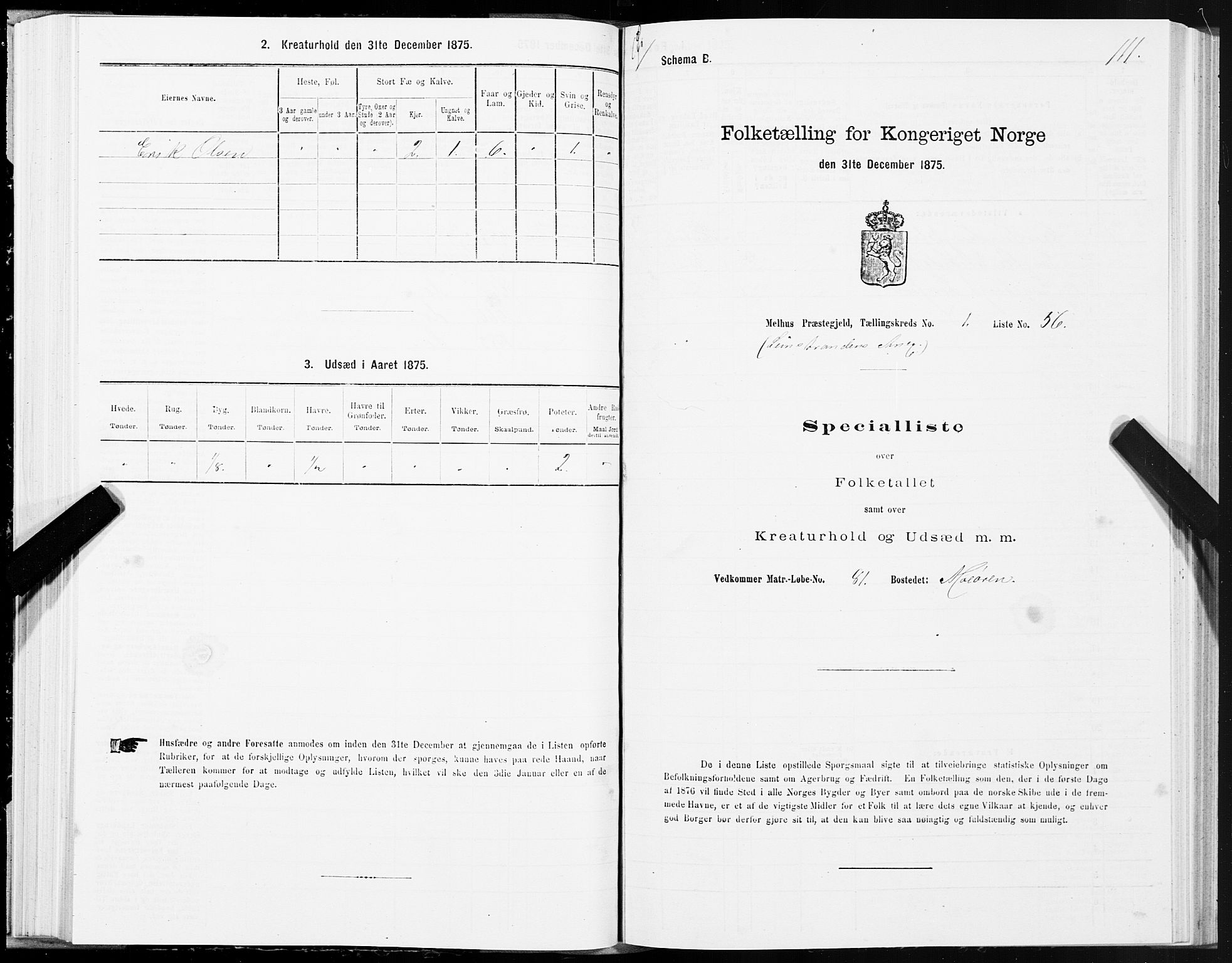 SAT, 1875 census for 1653P Melhus, 1875, p. 8111