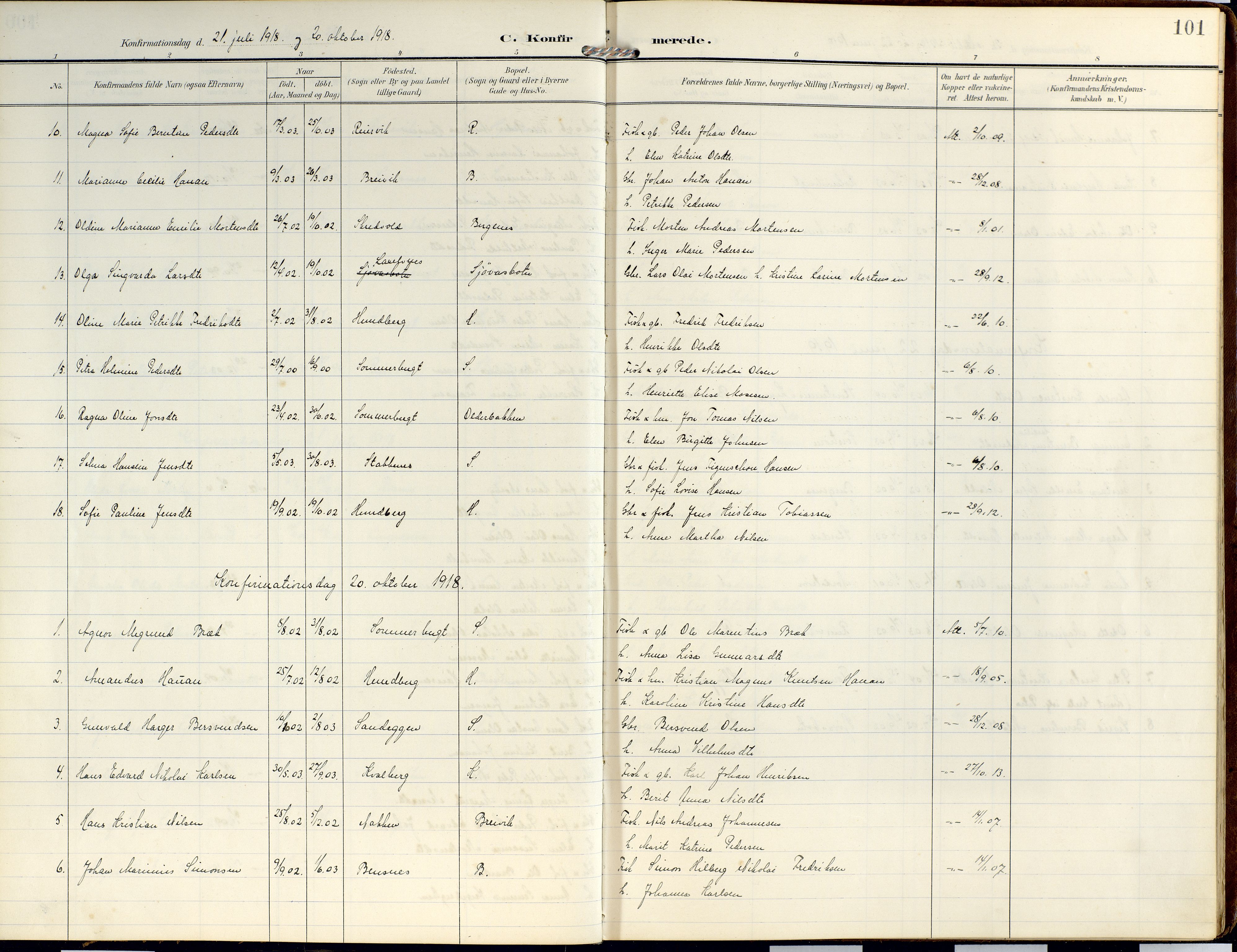 Lyngen sokneprestembete, AV/SATØ-S-1289/H/He/Hea/L0014kirke: Parish register (official) no. 14, 1905-1920, p. 101