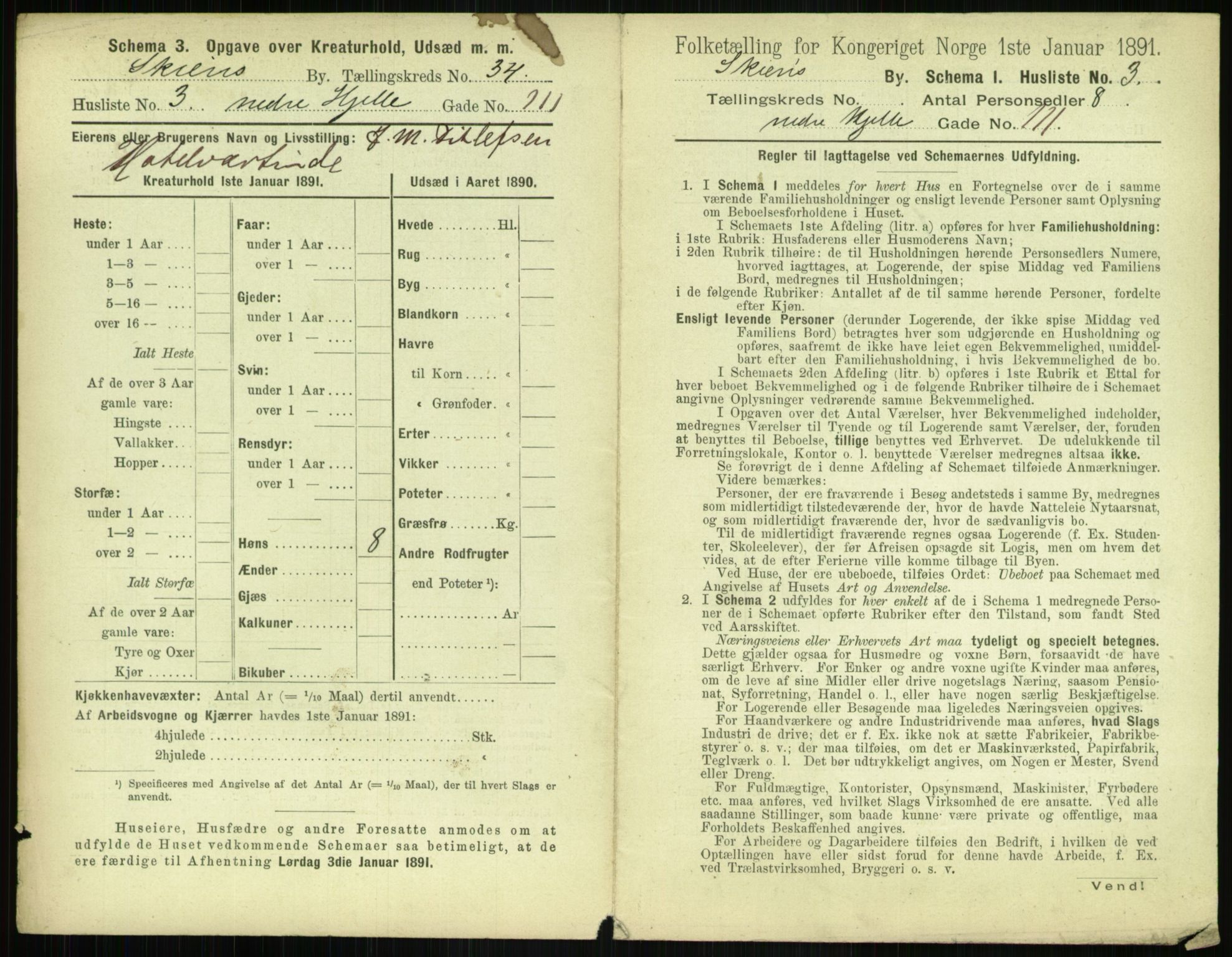 RA, 1891 census for 0806 Skien, 1891, p. 1338