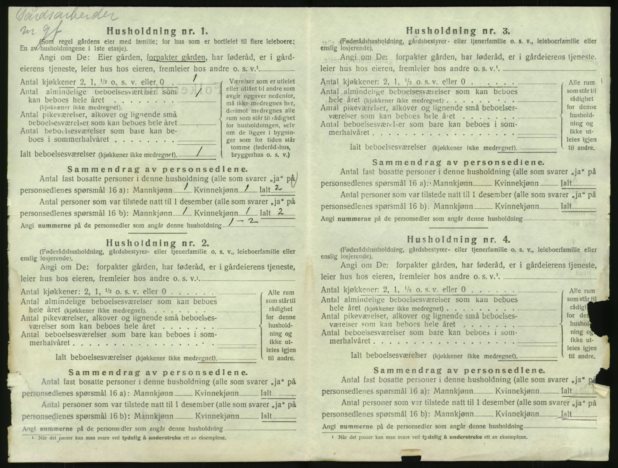 SAKO, 1920 census for Bø (Telemark), 1920, p. 1243