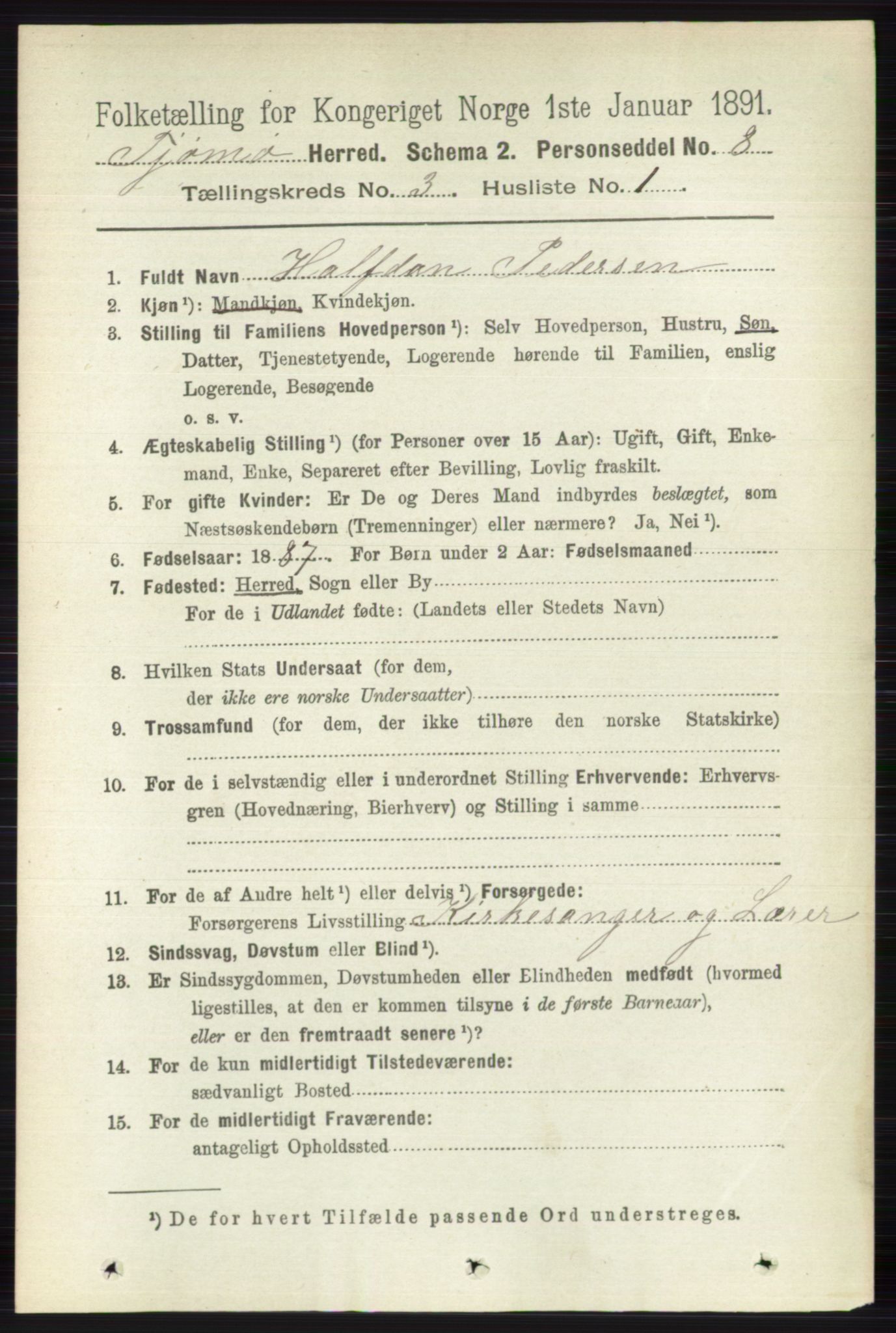 RA, 1891 census for 0723 Tjøme, 1891, p. 873