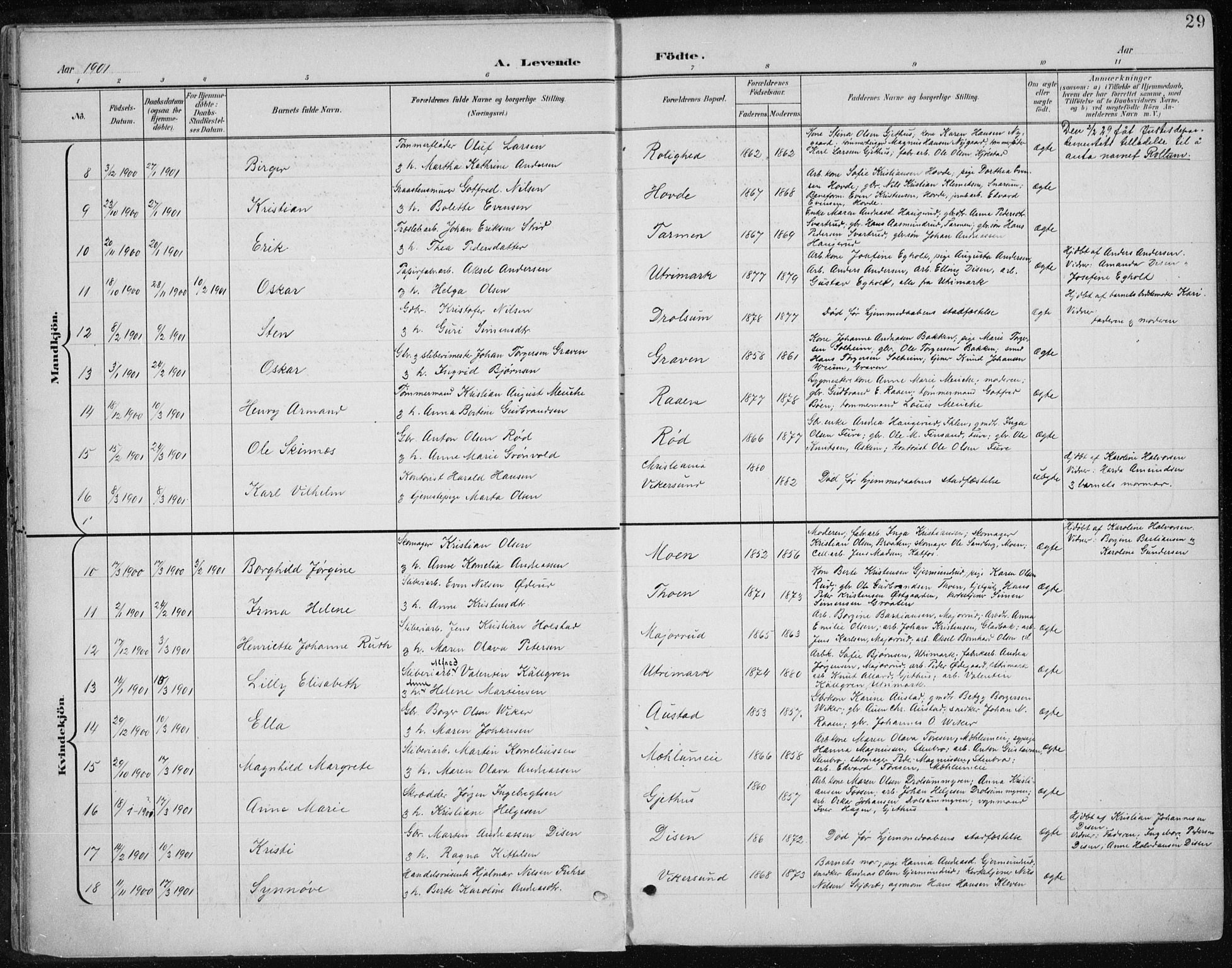 Modum kirkebøker, AV/SAKO-A-234/F/Fa/L0013: Parish register (official) no. 13, 1899-1907, p. 29