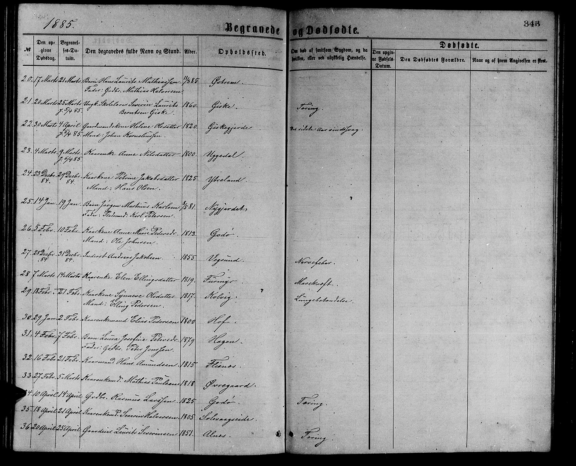 Ministerialprotokoller, klokkerbøker og fødselsregistre - Møre og Romsdal, AV/SAT-A-1454/528/L0429: Parish register (copy) no. 528C10, 1872-1886, p. 343