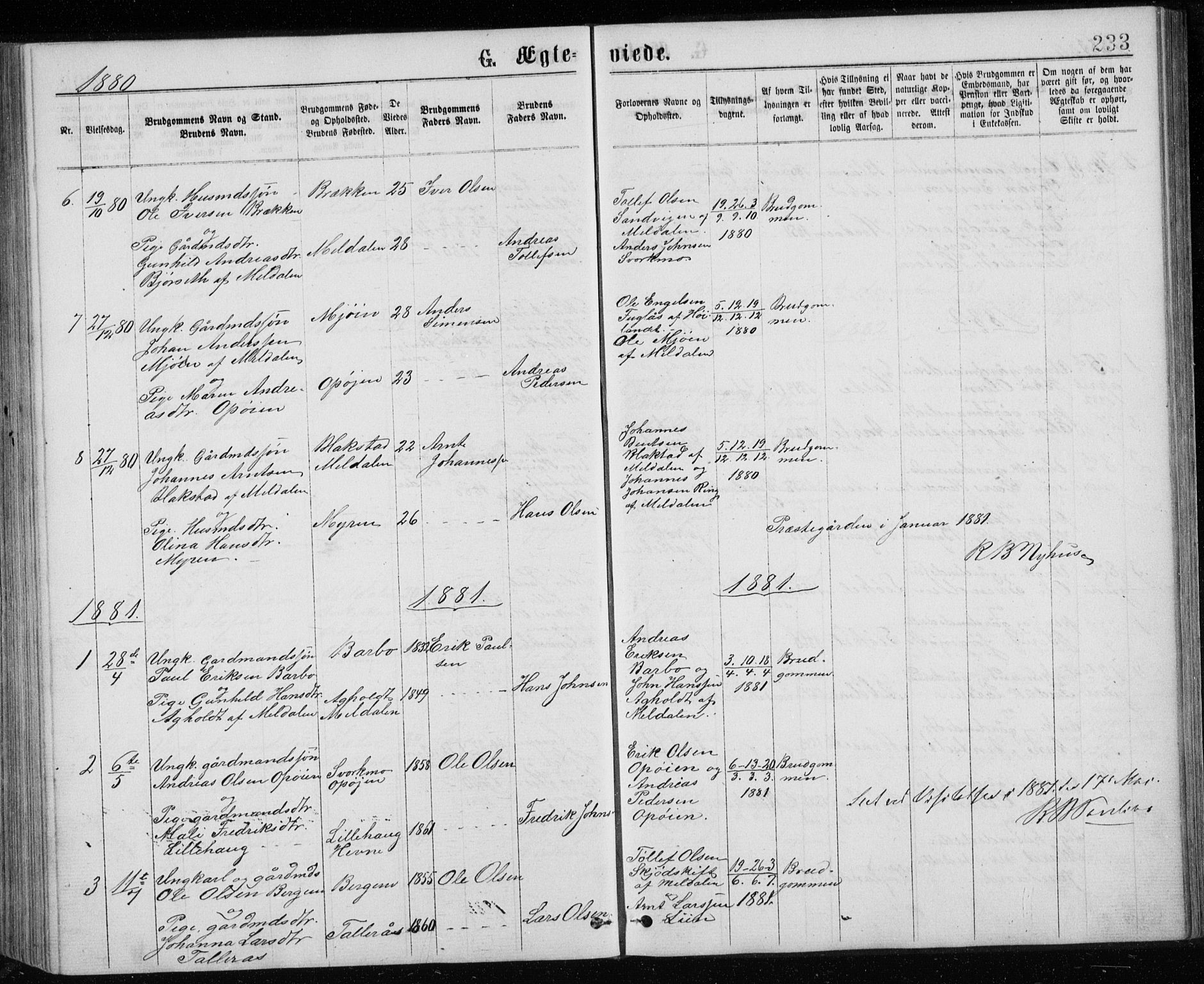 Ministerialprotokoller, klokkerbøker og fødselsregistre - Sør-Trøndelag, SAT/A-1456/671/L0843: Parish register (copy) no. 671C02, 1873-1892, p. 233