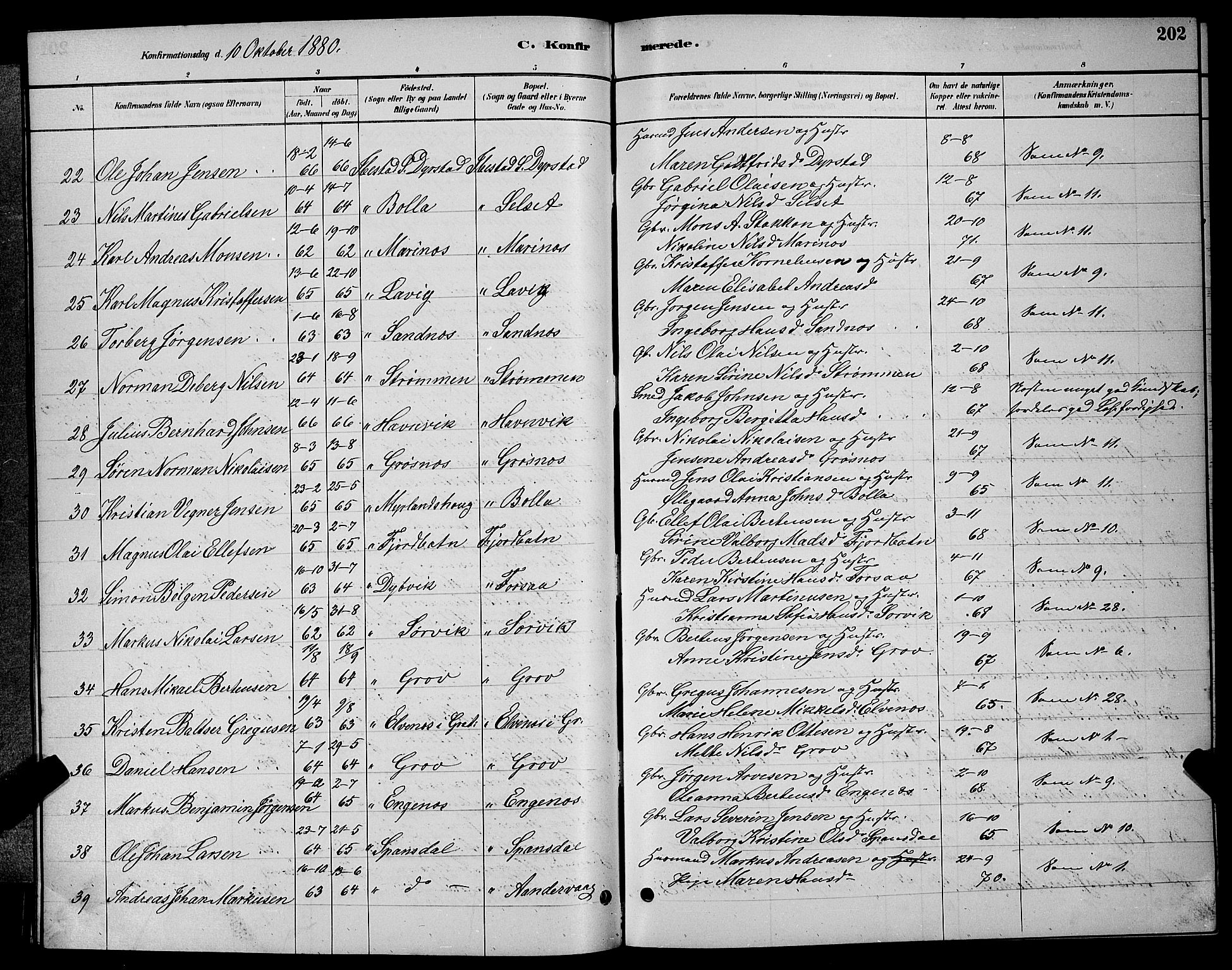 Ibestad sokneprestembete, AV/SATØ-S-0077/H/Ha/Hab/L0007klokker: Parish register (copy) no. 7, 1879-1889, p. 202
