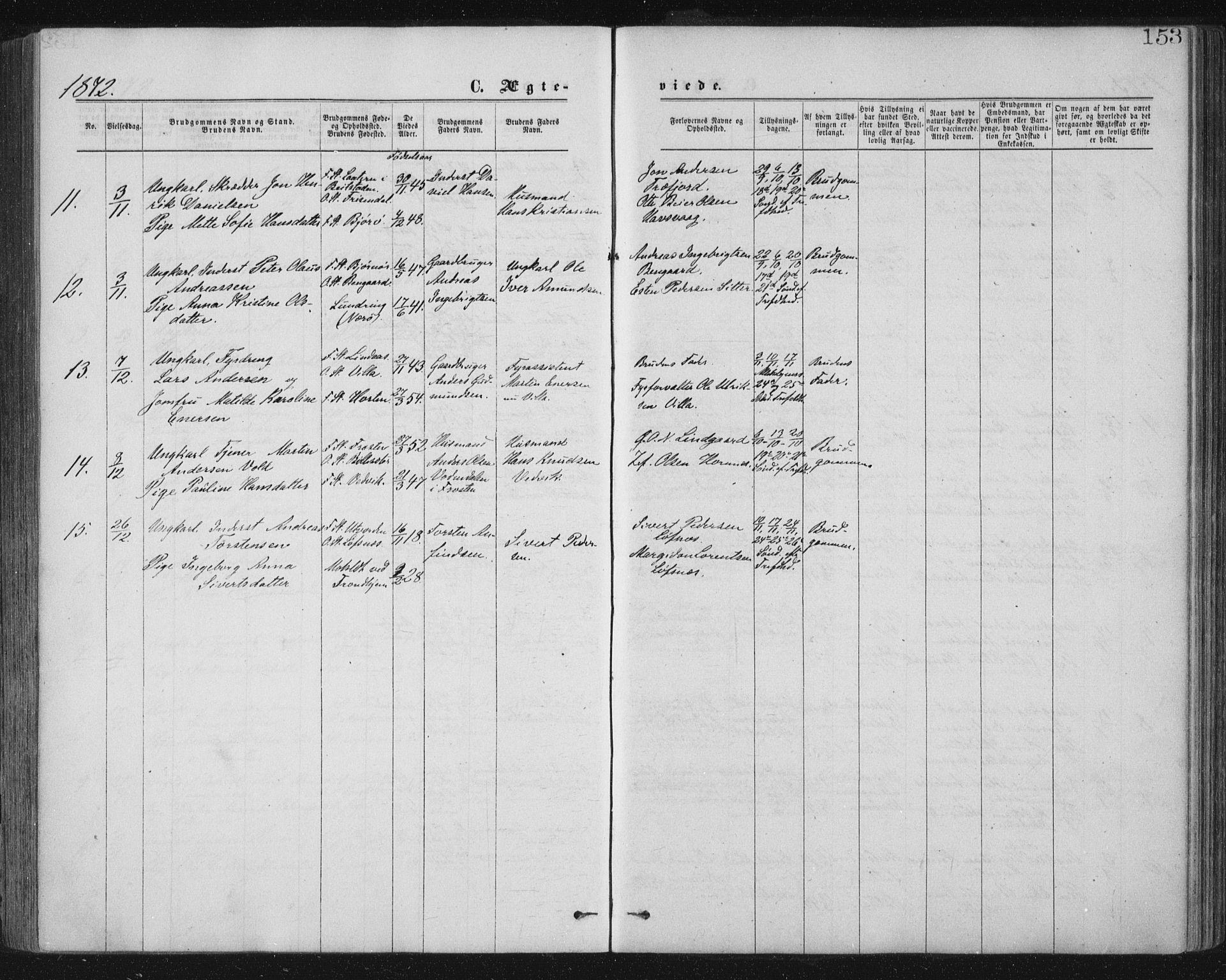 Ministerialprotokoller, klokkerbøker og fødselsregistre - Nord-Trøndelag, SAT/A-1458/771/L0596: Parish register (official) no. 771A03, 1870-1884, p. 153