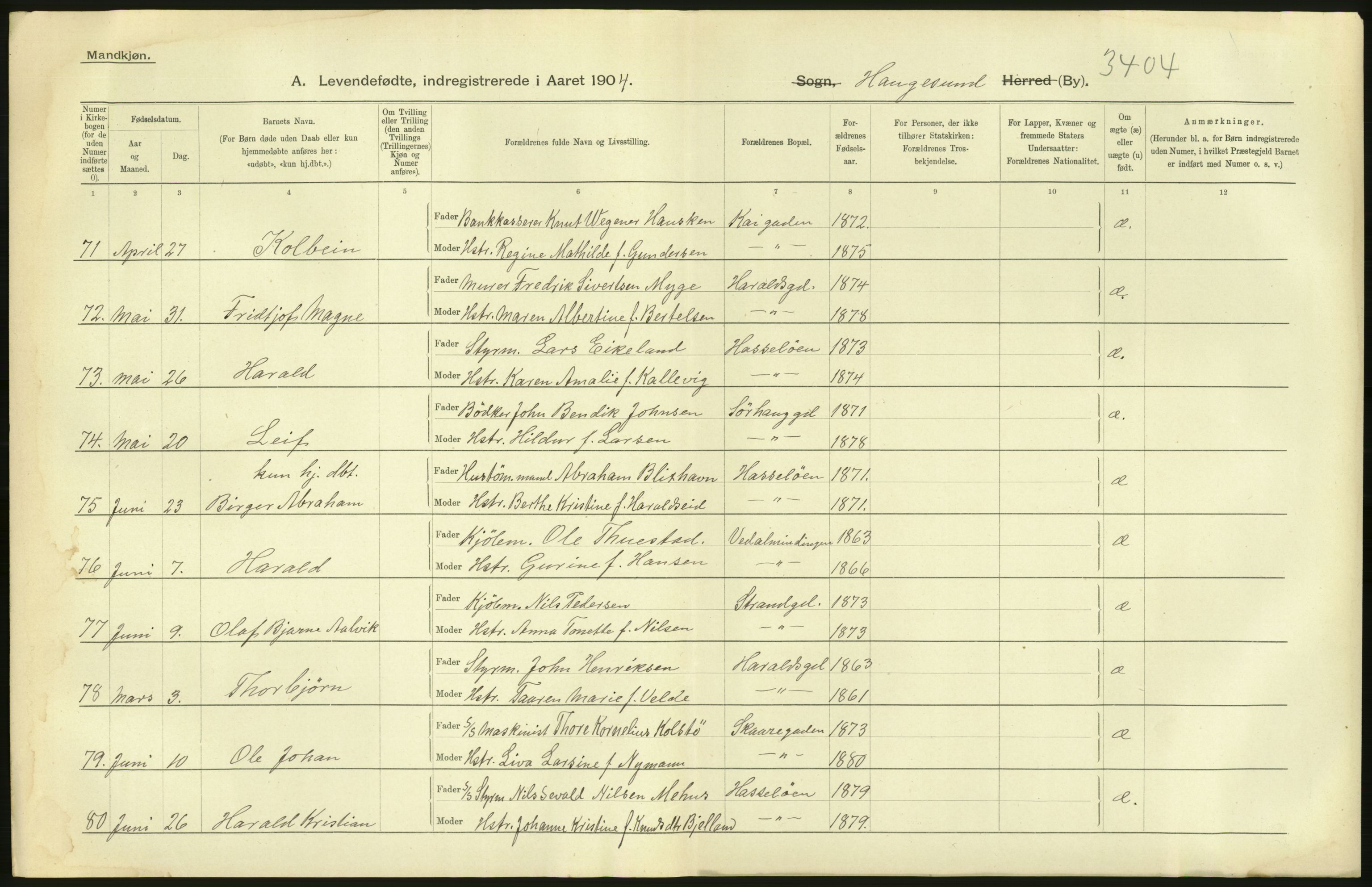 Statistisk sentralbyrå, Sosiodemografiske emner, Befolkning, RA/S-2228/D/Df/Dfa/Dfab/L0012: Stavanger amt: Fødte, gifte, døde, 1904, p. 20