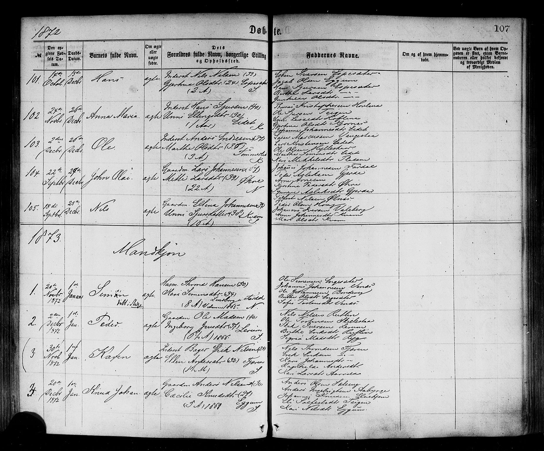 Sogndal sokneprestembete, SAB/A-81301/H/Haa/Haaa/L0014: Parish register (official) no. A 14, 1864-1877, p. 107