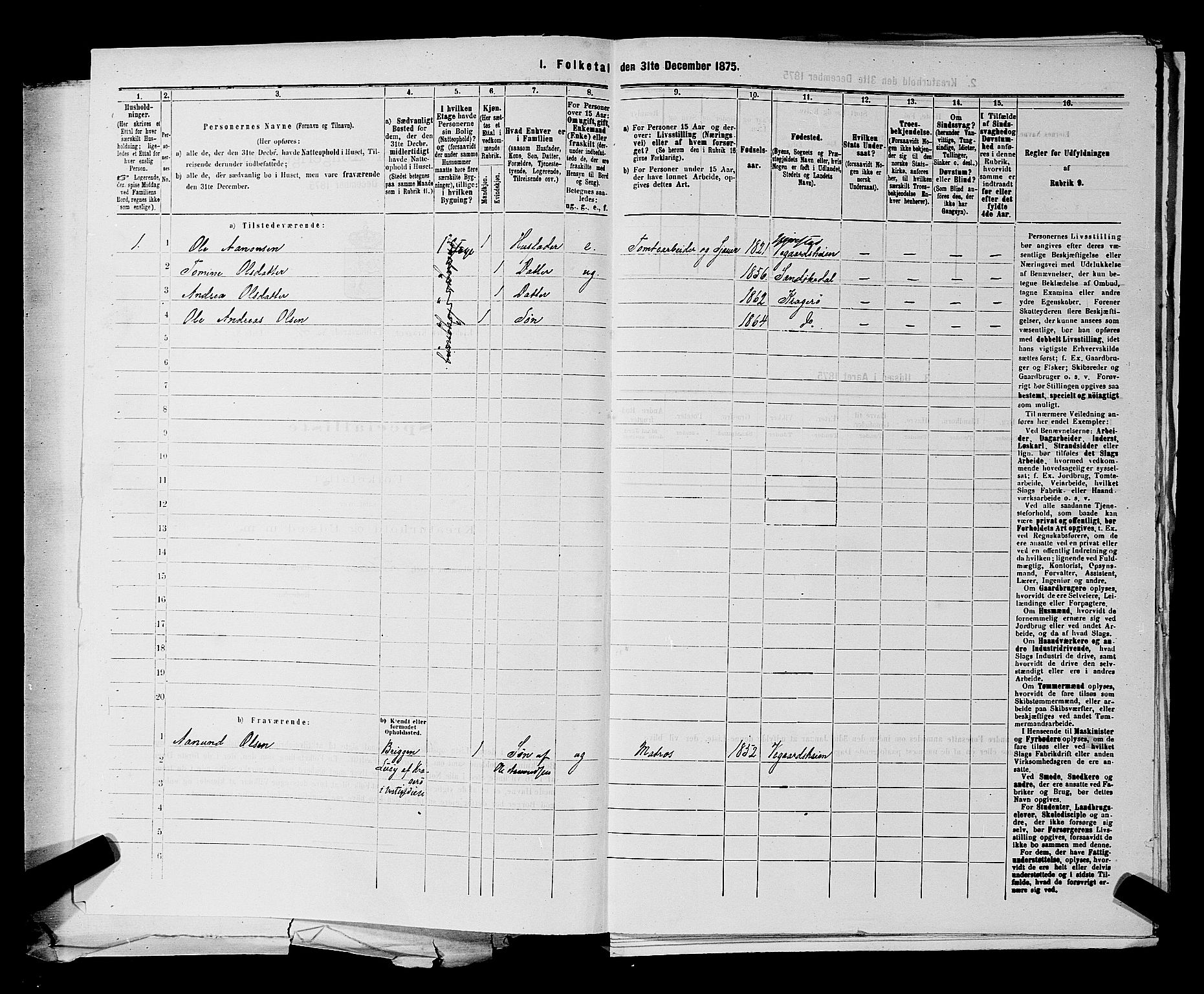 SAKO, 1875 census for 0801P Kragerø, 1875, p. 896