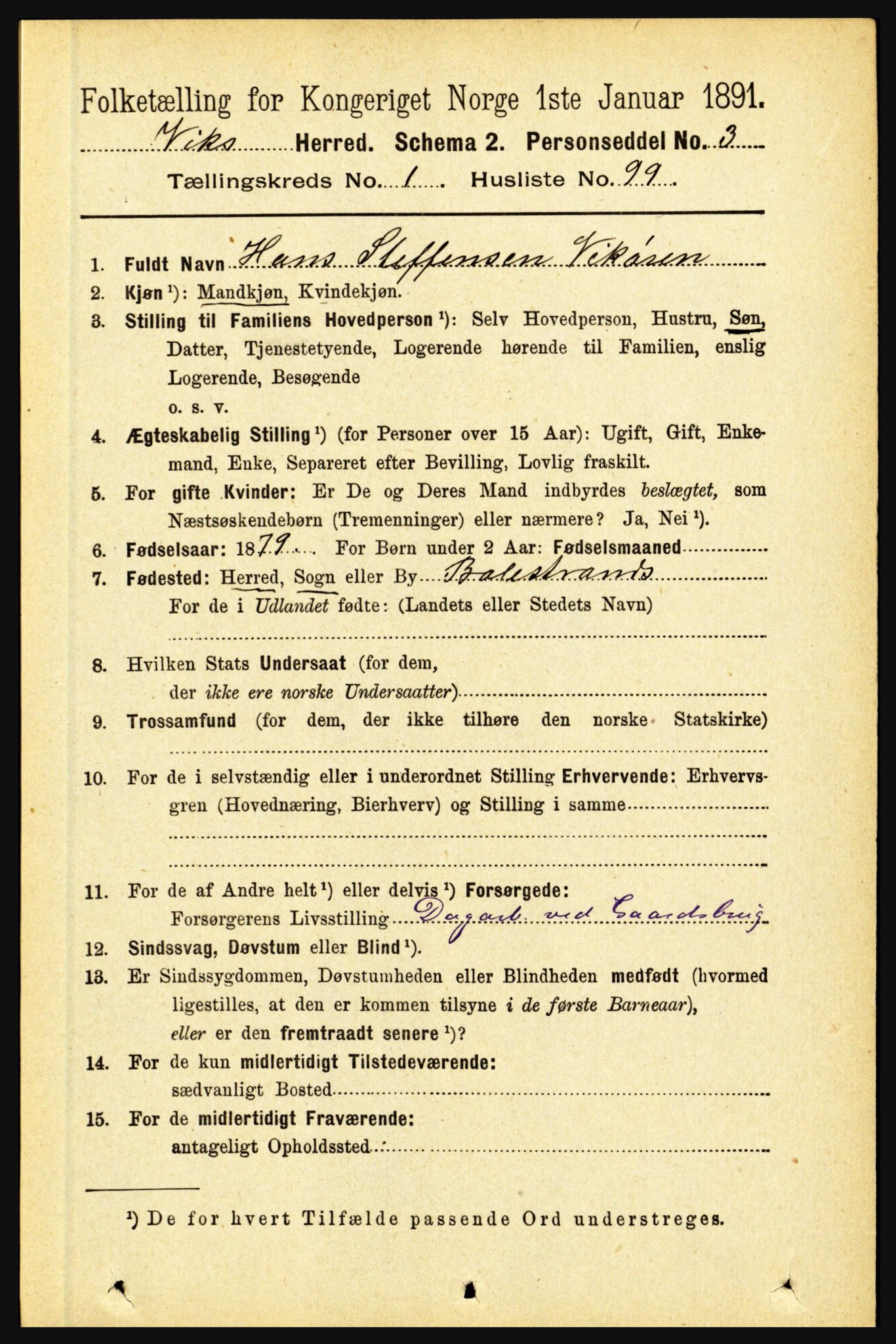 RA, 1891 census for 1417 Vik, 1891, p. 603