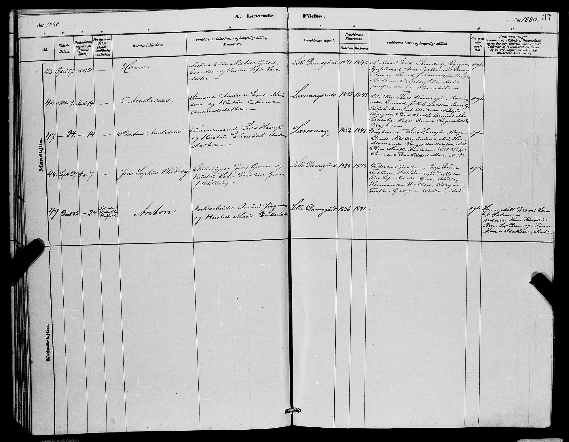 Laksevåg Sokneprestembete, SAB/A-76501/H/Ha/Hab/Haba/L0002: Parish register (copy) no. A 2, 1877-1887, p. 37