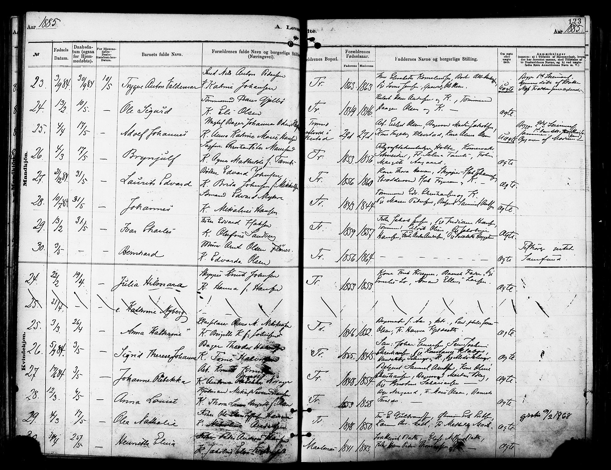 Tromsø sokneprestkontor/stiftsprosti/domprosti, AV/SATØ-S-1343/G/Ga/L0014kirke: Parish register (official) no. 14, 1878-1888, p. 123