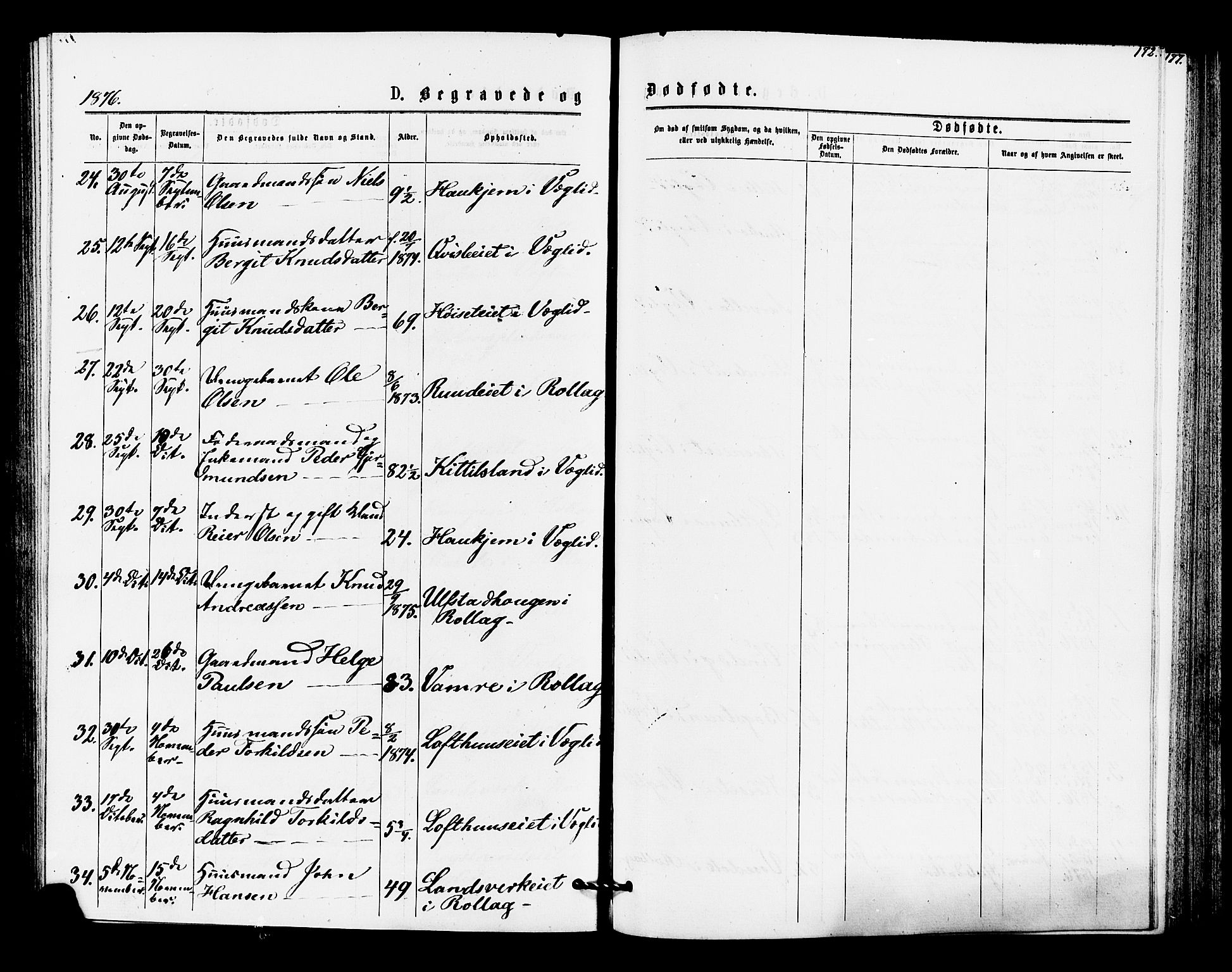 Rollag kirkebøker, AV/SAKO-A-240/F/Fa/L0010: Parish register (official) no. I 10, 1874-1877, p. 172