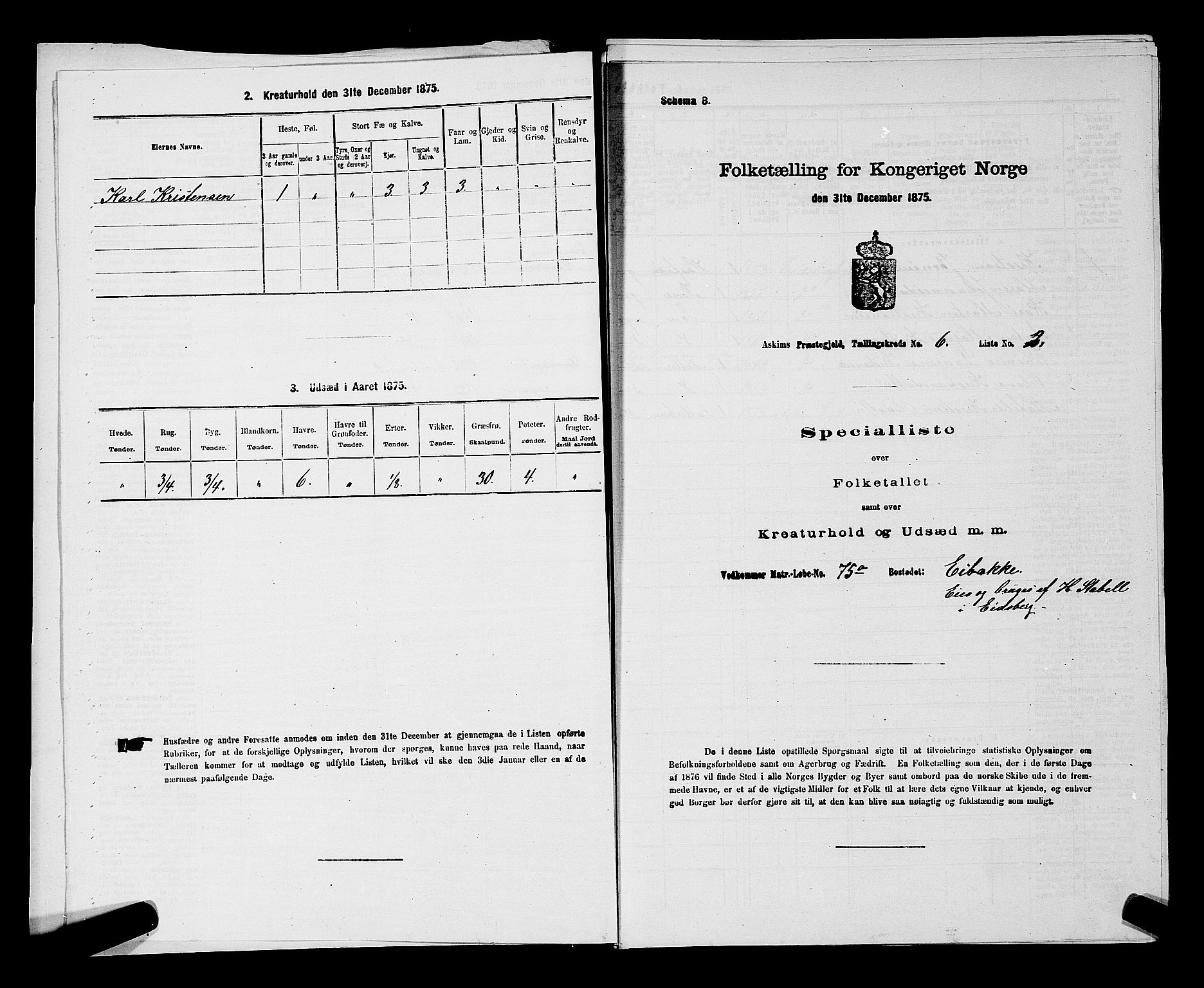 RA, 1875 census for 0124P Askim, 1875, p. 367