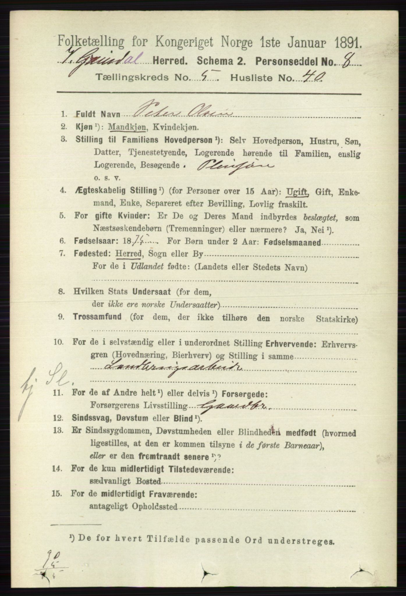 RA, 1891 census for 0523 Vestre Gausdal, 1891, p. 2393