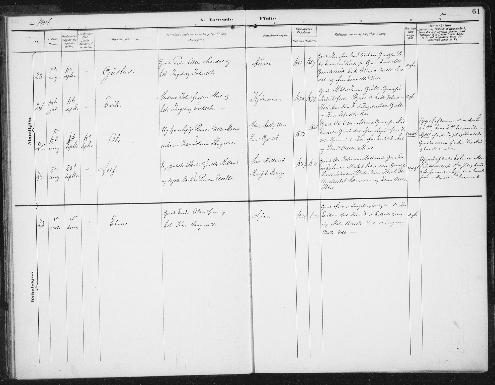 Ministerialprotokoller, klokkerbøker og fødselsregistre - Sør-Trøndelag, AV/SAT-A-1456/674/L0872: Parish register (official) no. 674A04, 1897-1907, p. 61