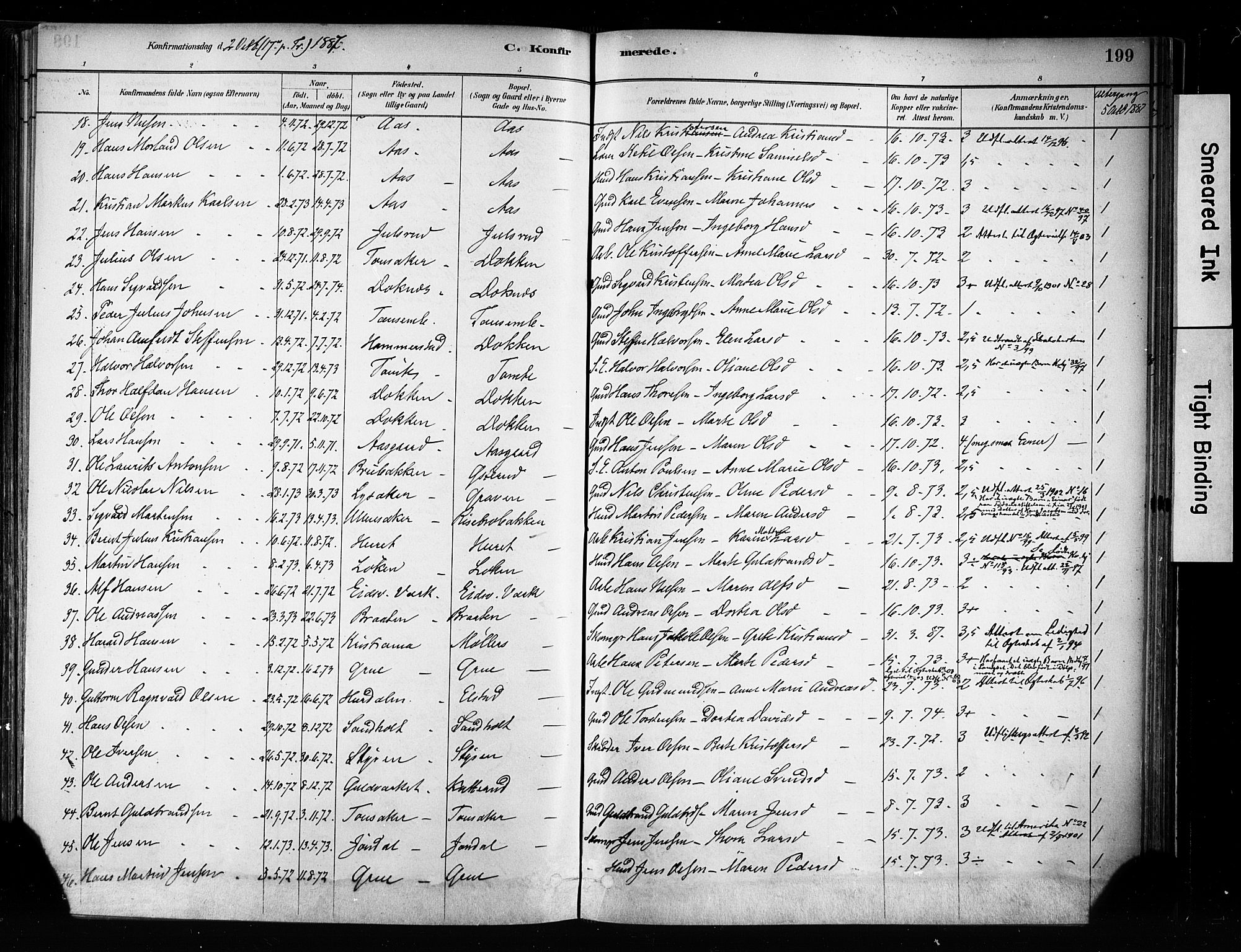 Eidsvoll prestekontor Kirkebøker, SAO/A-10888/F/Fa/L0002: Parish register (official) no. I 2, 1882-1895, p. 199