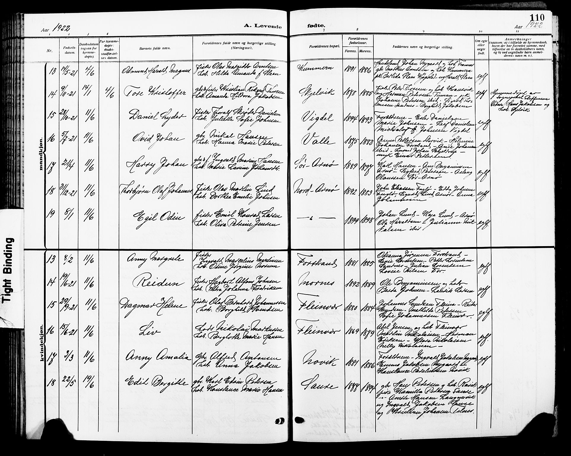 Ministerialprotokoller, klokkerbøker og fødselsregistre - Nordland, AV/SAT-A-1459/805/L0110: Parish register (copy) no. 805C06, 1909-1924, p. 110