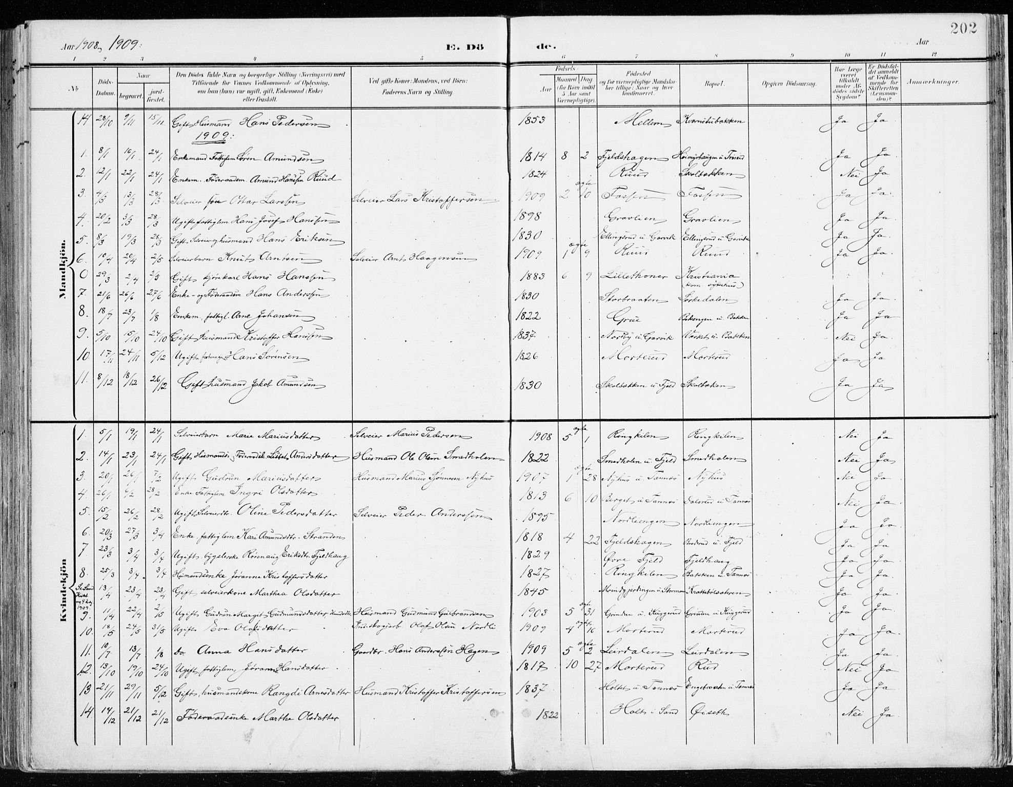 Nord-Odal prestekontor, SAH/PREST-032/H/Ha/Haa/L0009: Parish register (official) no. 9, 1902-1926, p. 202