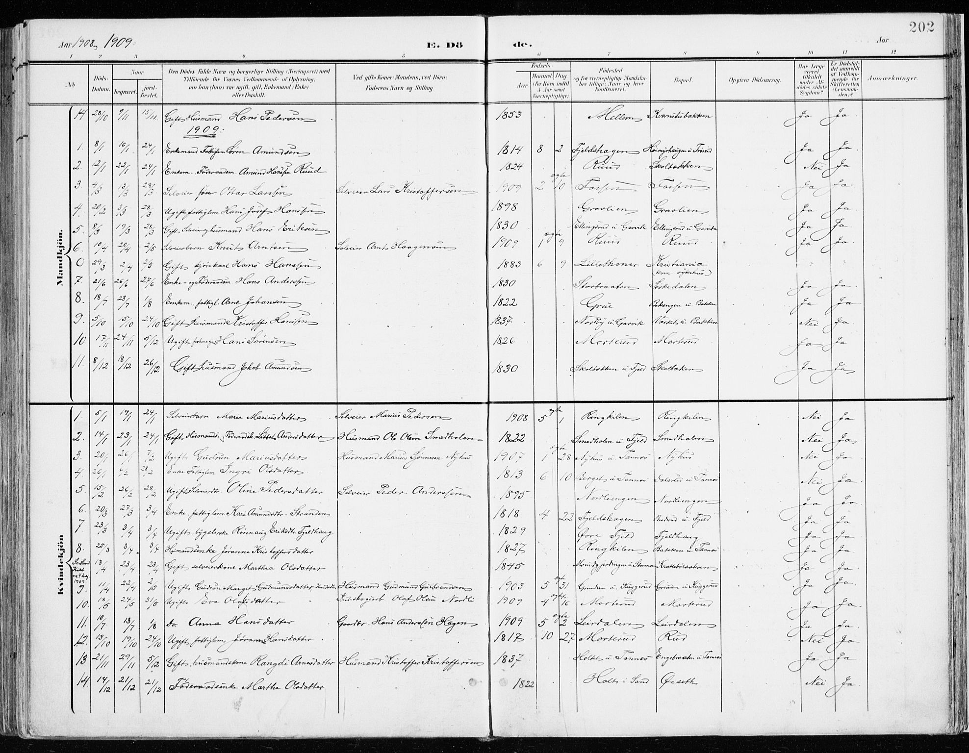 Nord-Odal prestekontor, AV/SAH-PREST-032/H/Ha/Haa/L0009: Parish register (official) no. 9, 1902-1926, p. 202